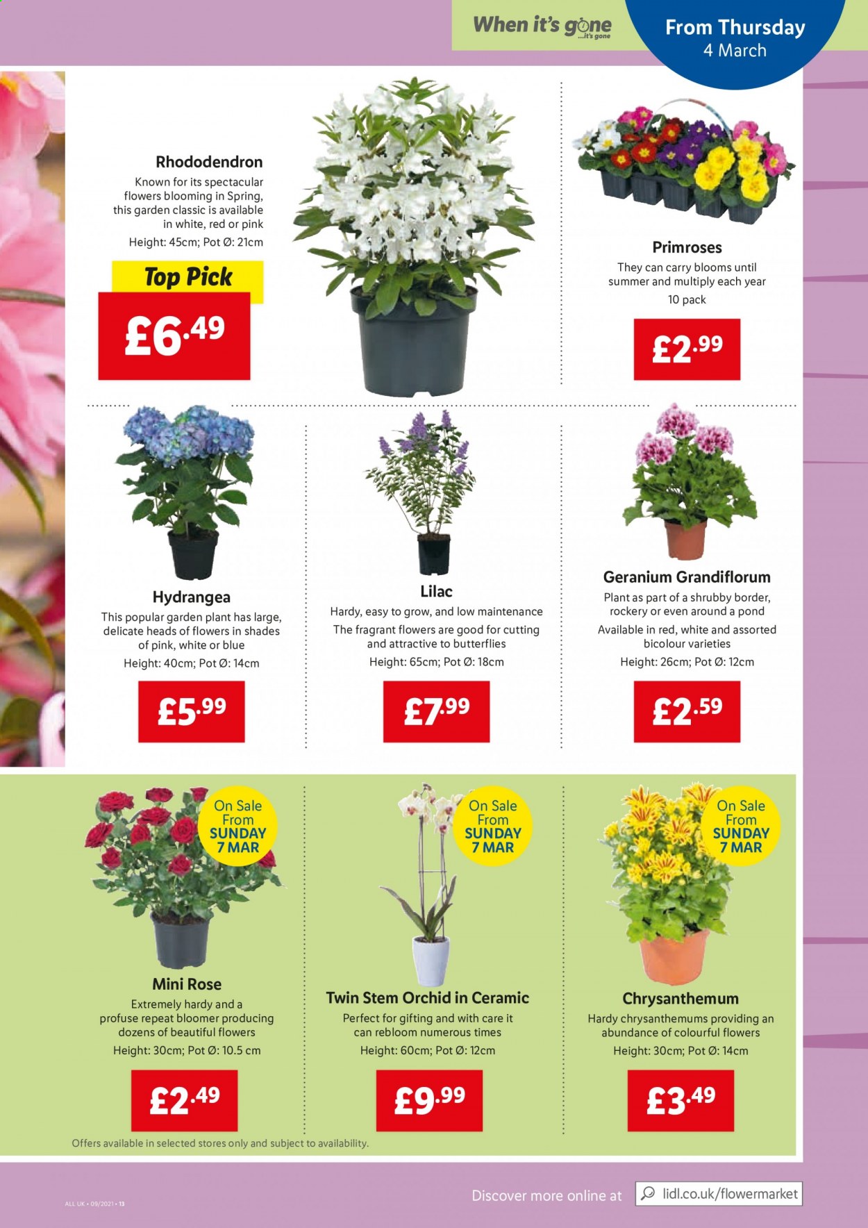 Lidl offer - 04/03/2021 - 10/03/2021. Page 11