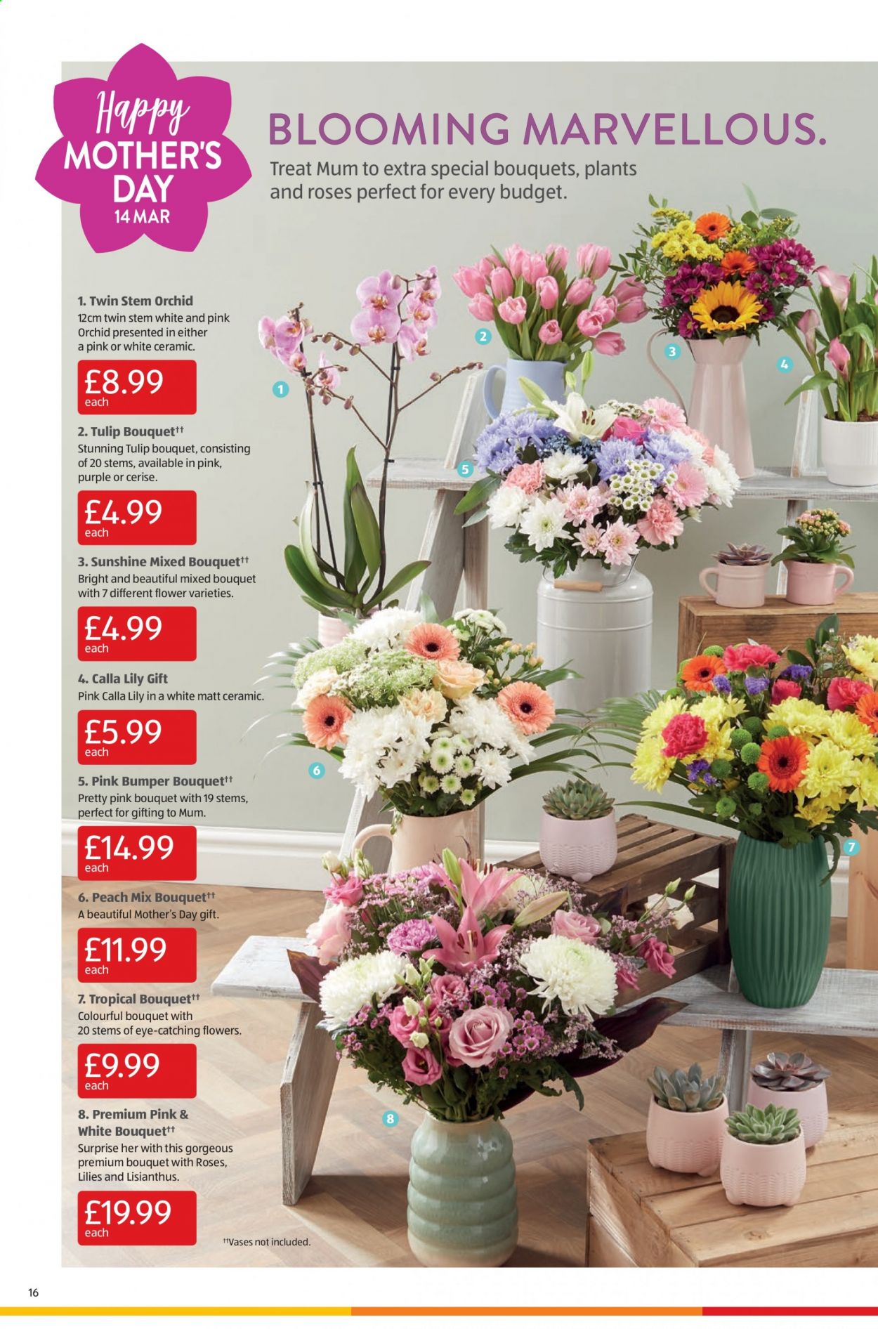 Aldi offer - 07/03/2021 - 14/03/2021. Page 16