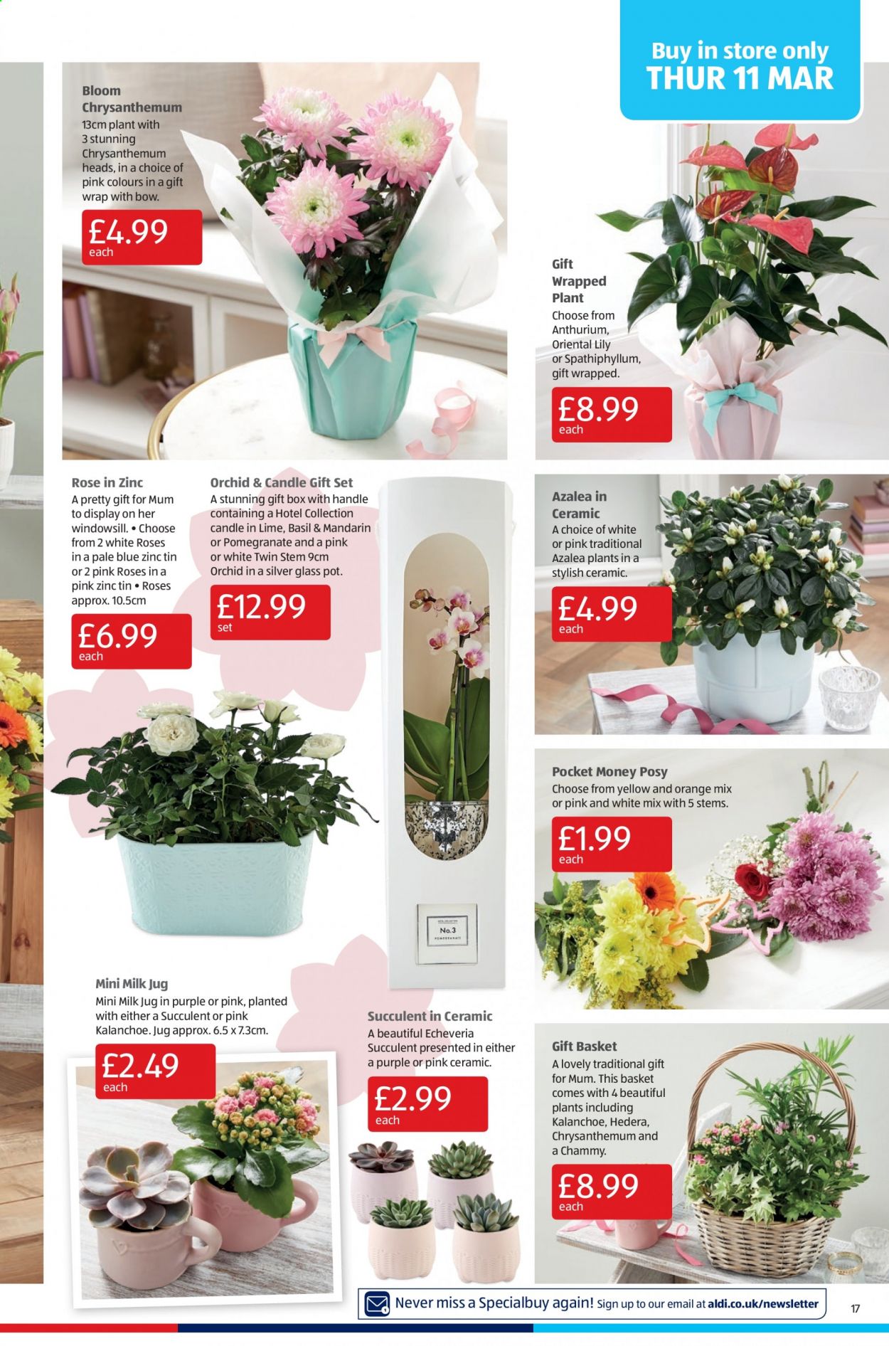 Aldi offer - 07/03/2021 - 14/03/2021. Page 17