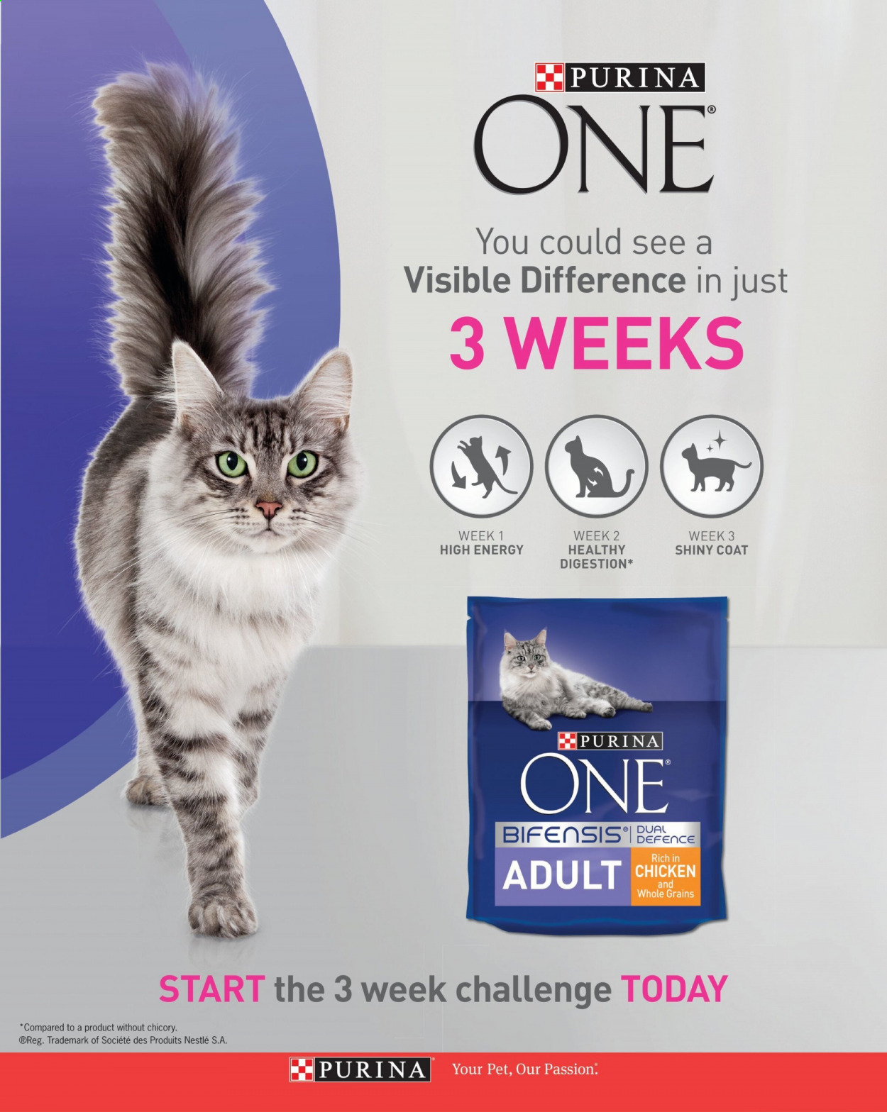 Sainsbury's offer - 01/03/2021 - 31/03/2021. Page 125