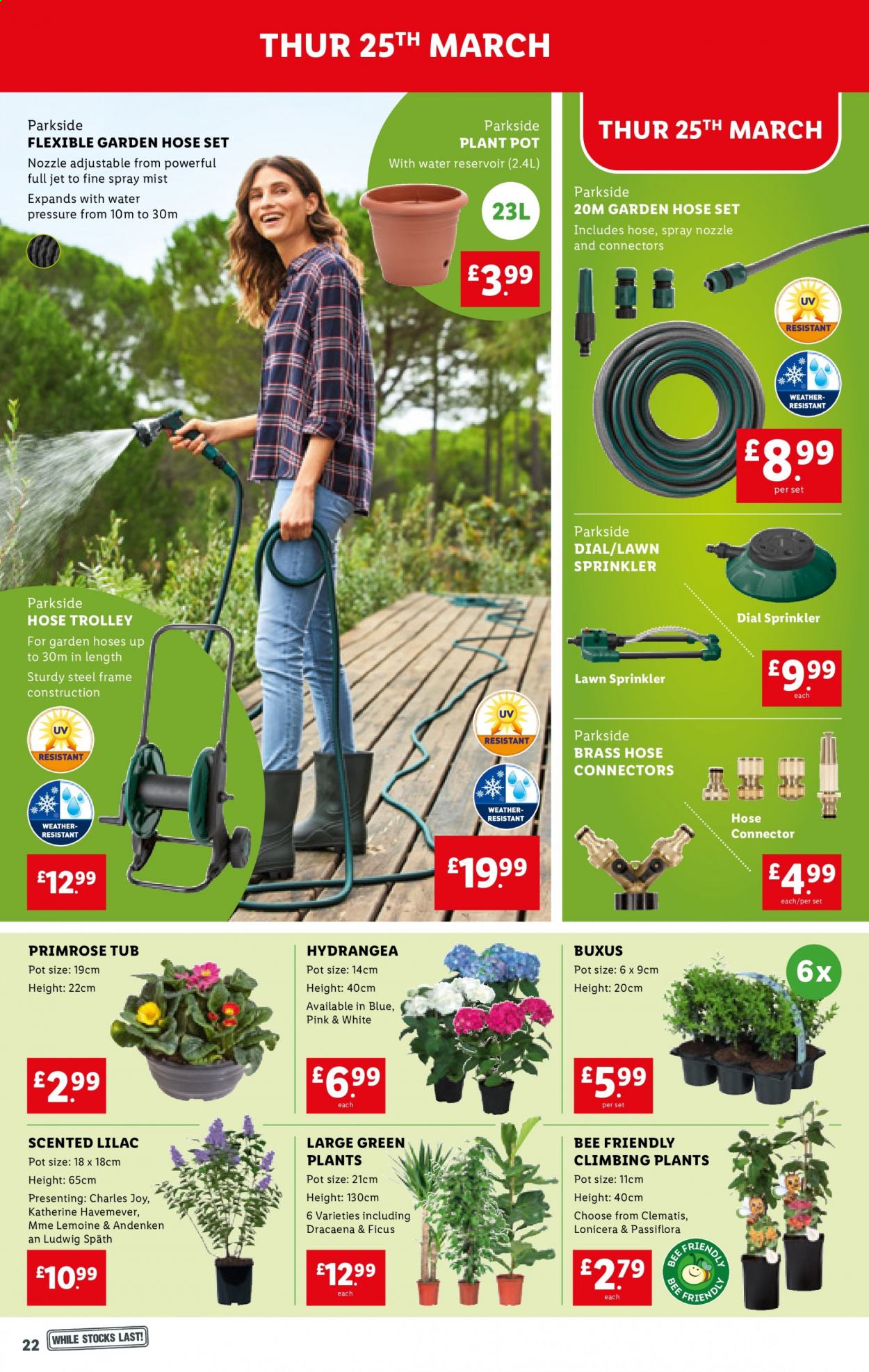 Lidl offer - 25/03/2021 - 31/03/2021. Page 22