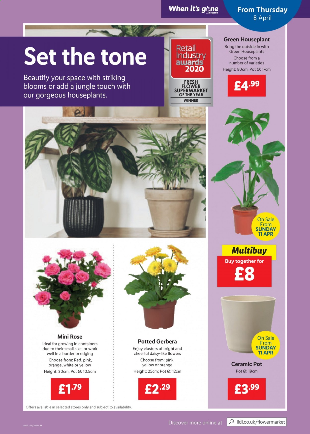 thumbnail - Lidl offer  - 08/04/2021 - 14/04/2021 - Sales products - pot, houseplant, gerbera, rose. Page 21.