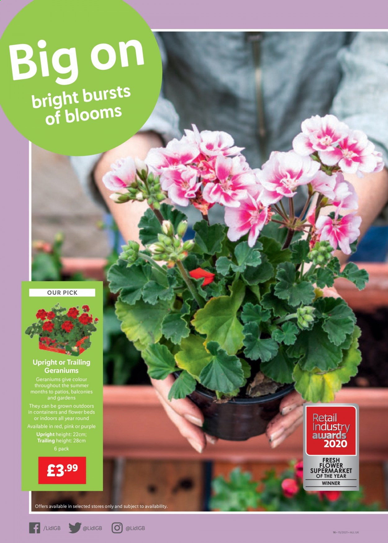 Lidl offer - 15/04/2021 - 21/04/2021. Page 16