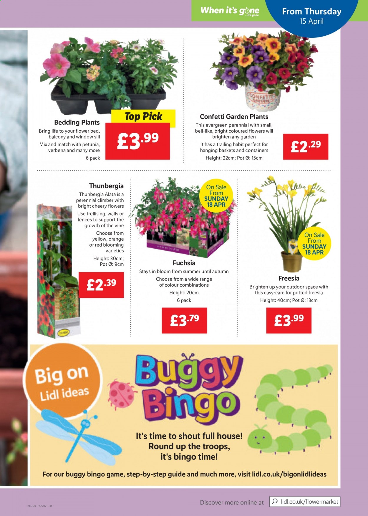 Lidl offer - 15/04/2021 - 21/04/2021. Page 17