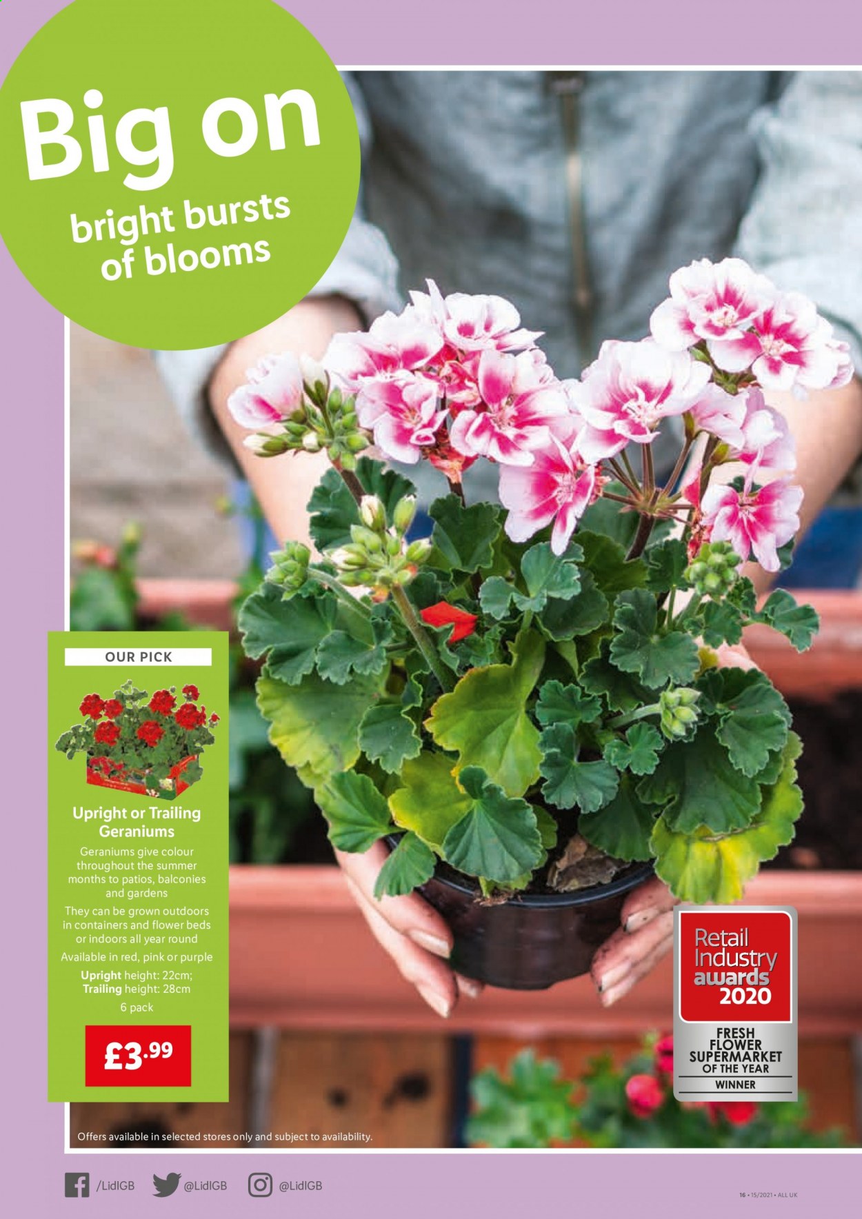 Lidl offer - 15/04/2021 - 21/04/2021. Page 12