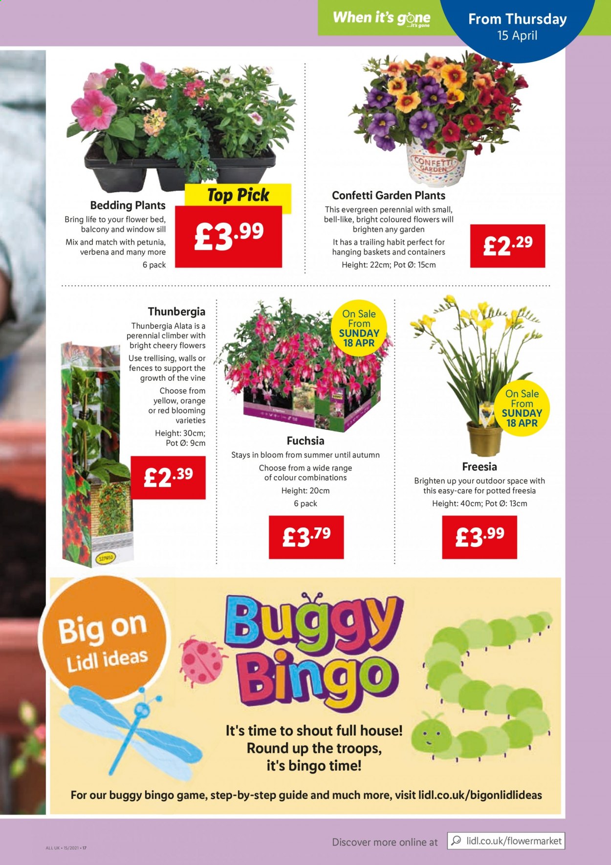 Lidl offer - 15/04/2021 - 21/04/2021. Page 13