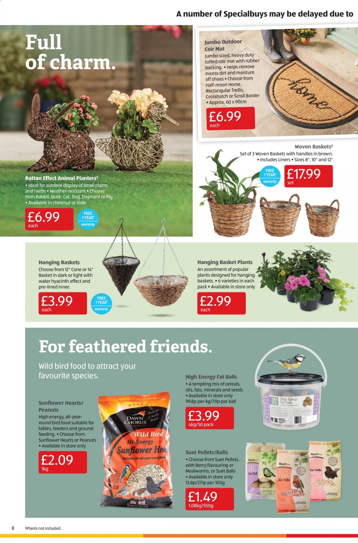 thumbnail - Aldi offer  - 25/04/2021 - 02/05/2021 - Sales products - shoes, rabbit, suet, cereals, herbs, peanuts, basket, animal food, bird food, mealworms, table, hyacinth, water hyacinth, sunflower. Page 8.