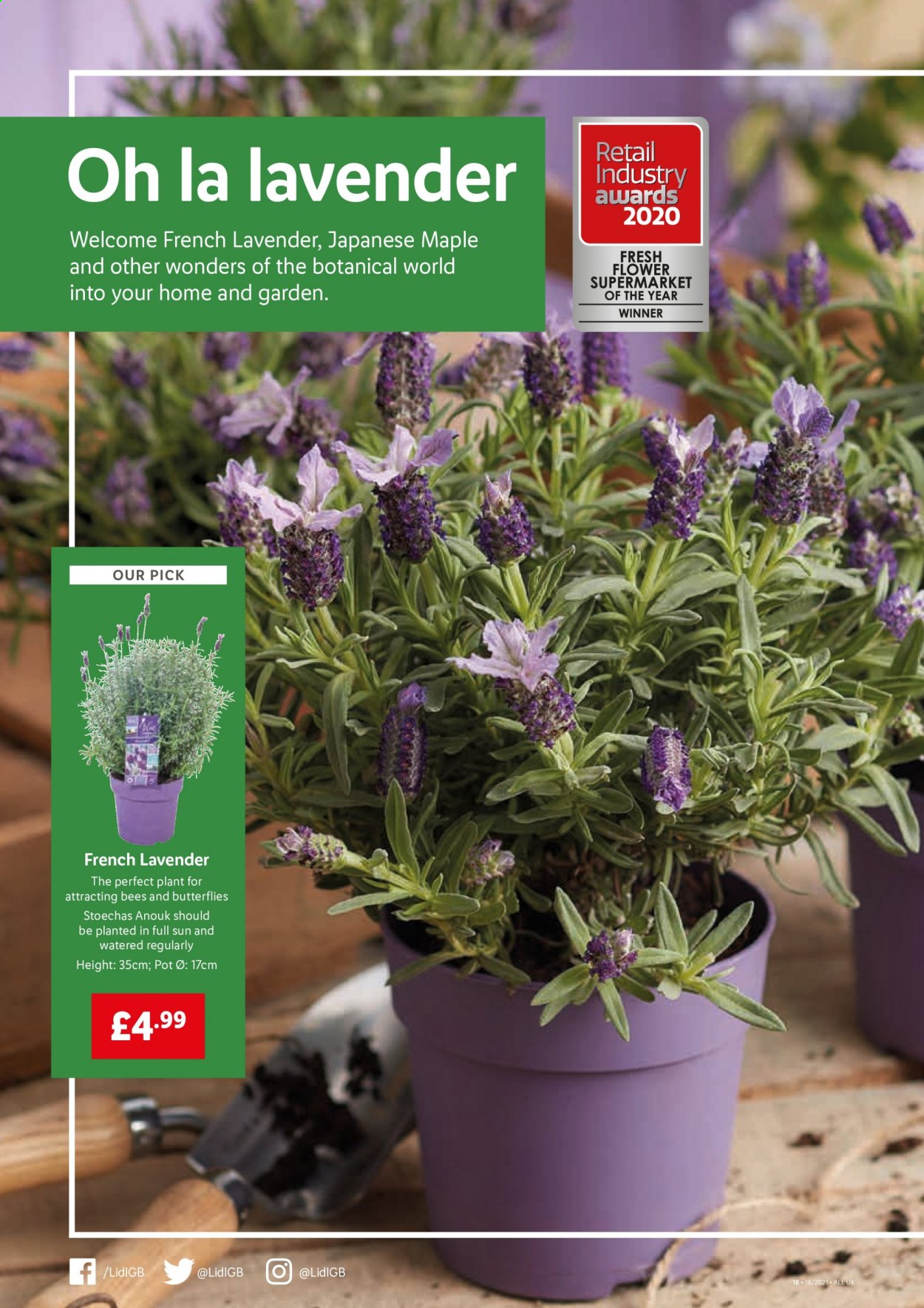 Lidl offer - 06/05/2021 - 12/05/2021. Page 16