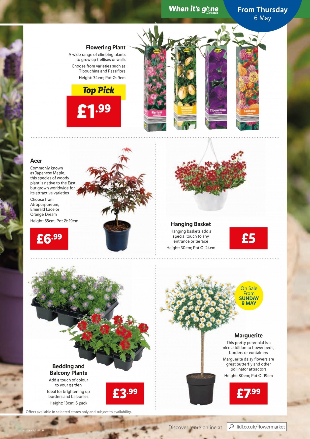 Lidl offer - 06/05/2021 - 12/05/2021. Page 17