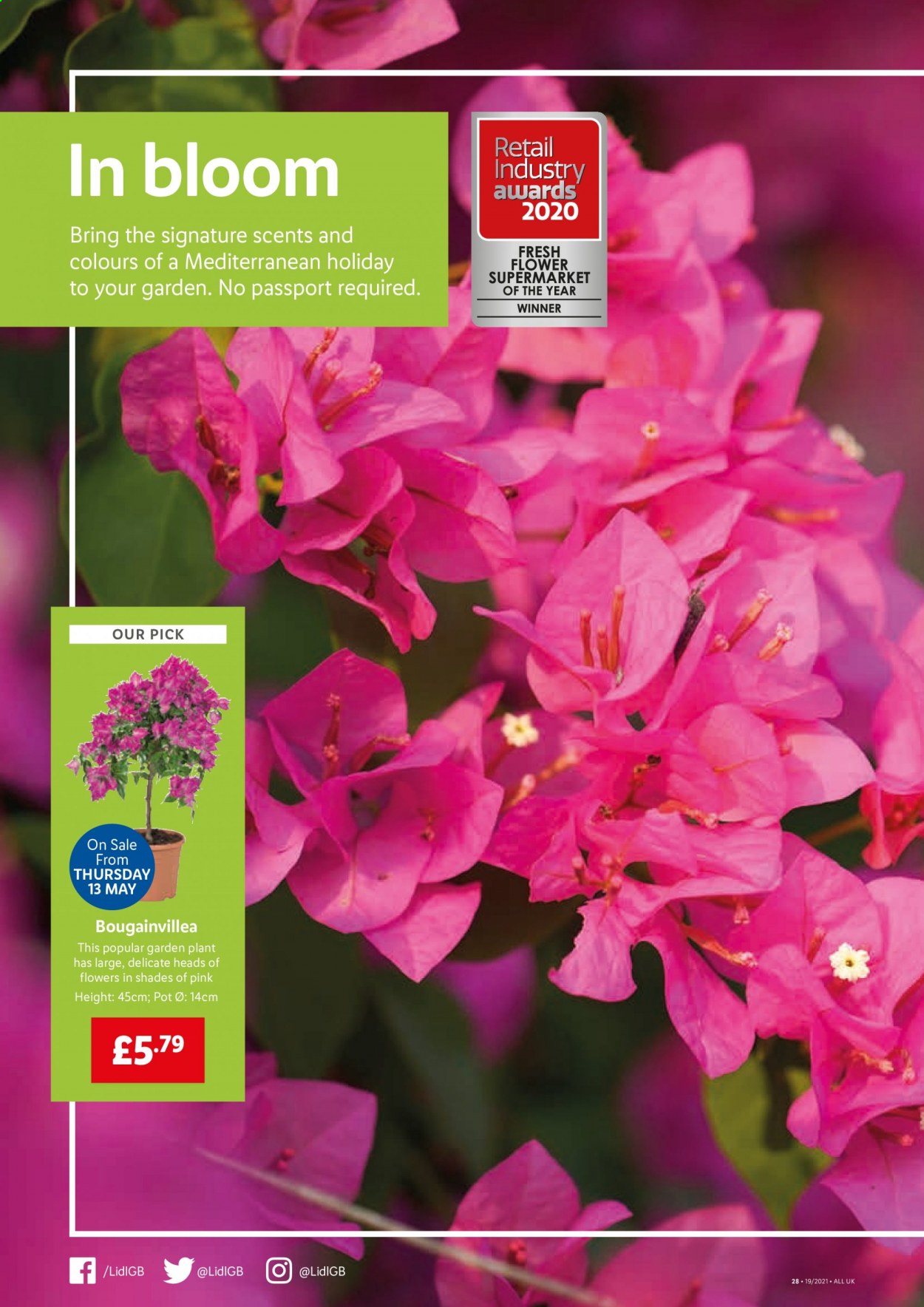 Lidl offer - 13/05/2021 - 19/05/2021. Page 18