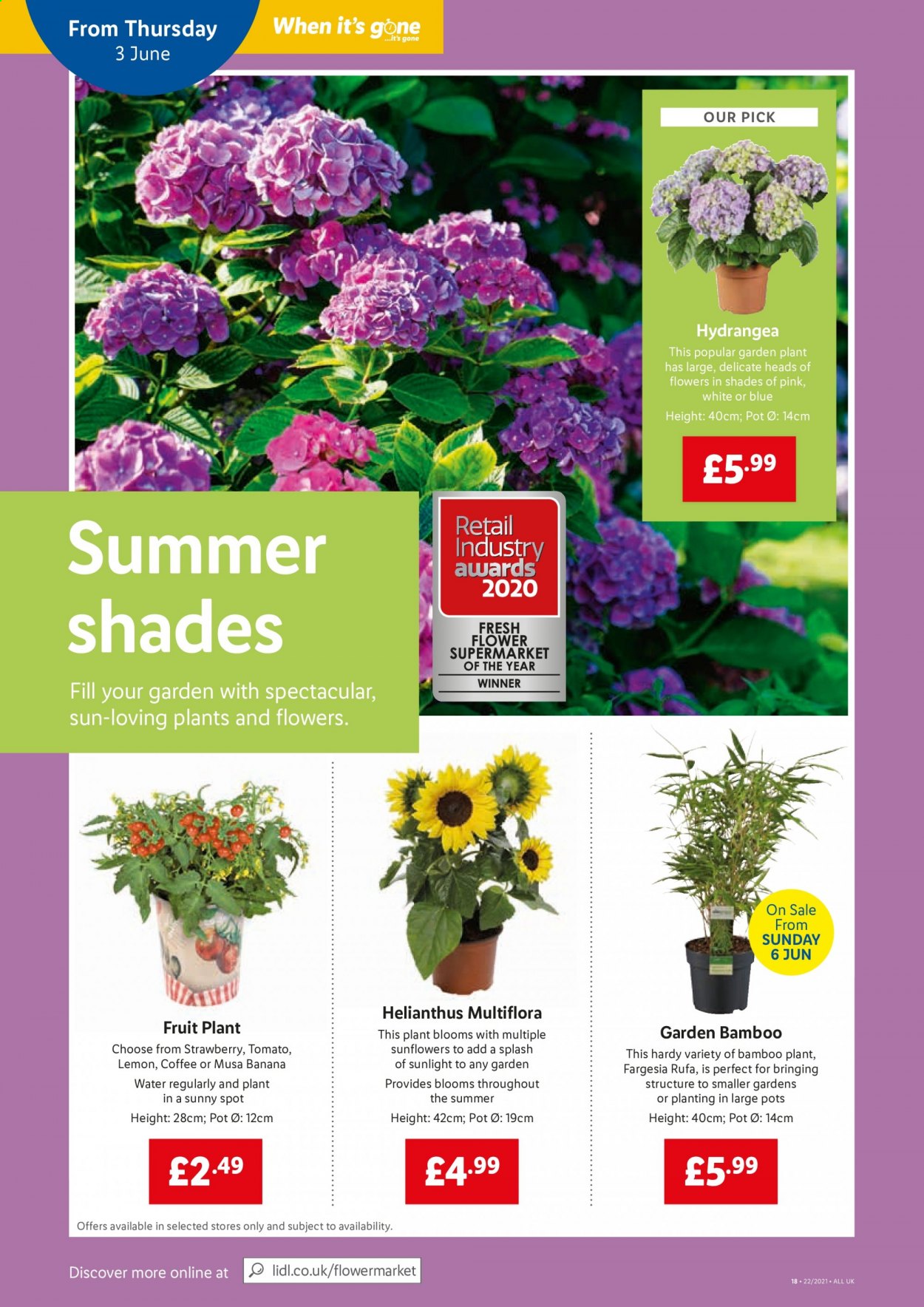 Lidl offer - 03/06/2021 - 09/06/2021. Page 18