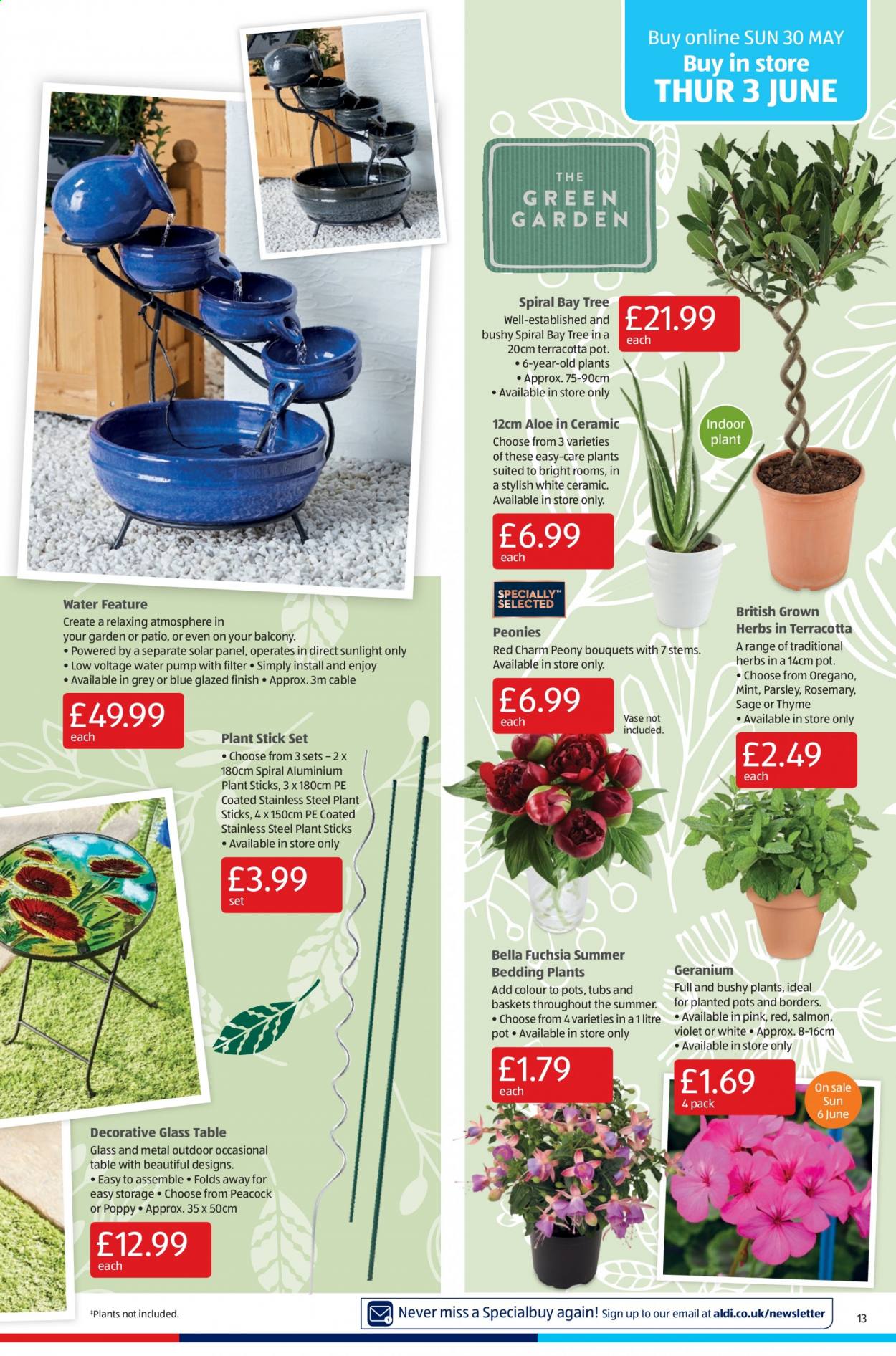 Aldi offer - 30/05/2021 - 06/06/2021. Page 13