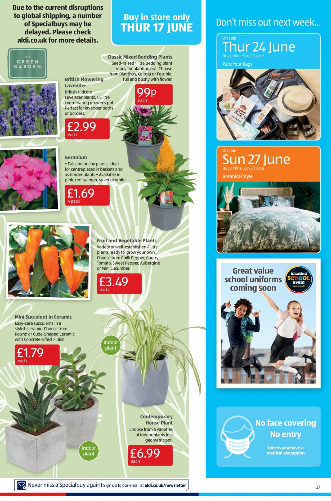 Aldi offer - 13/06/2021 - 20/06/2021. Page 27