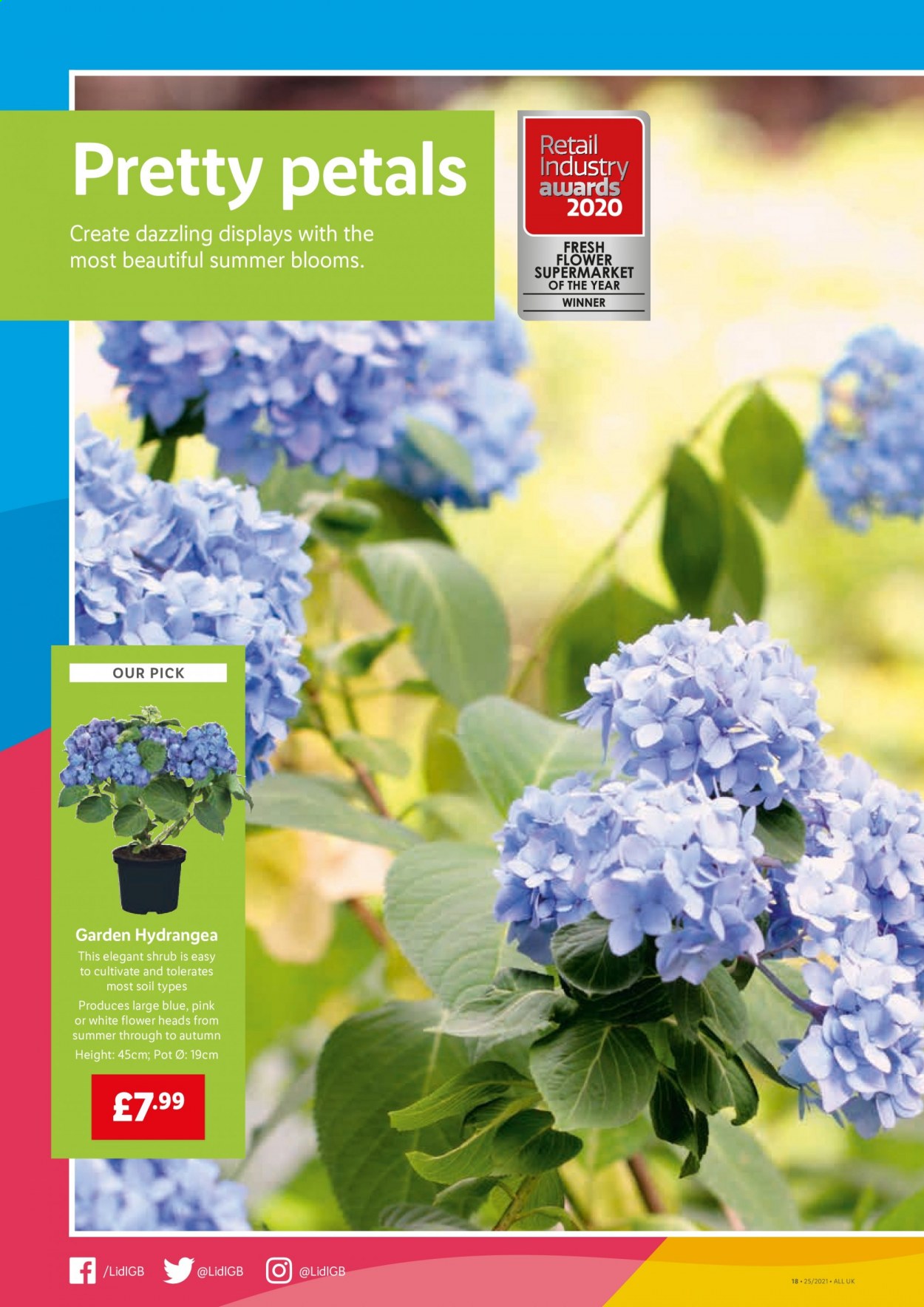 Lidl offer - 24/06/2021 - 30/06/2021. Page 18