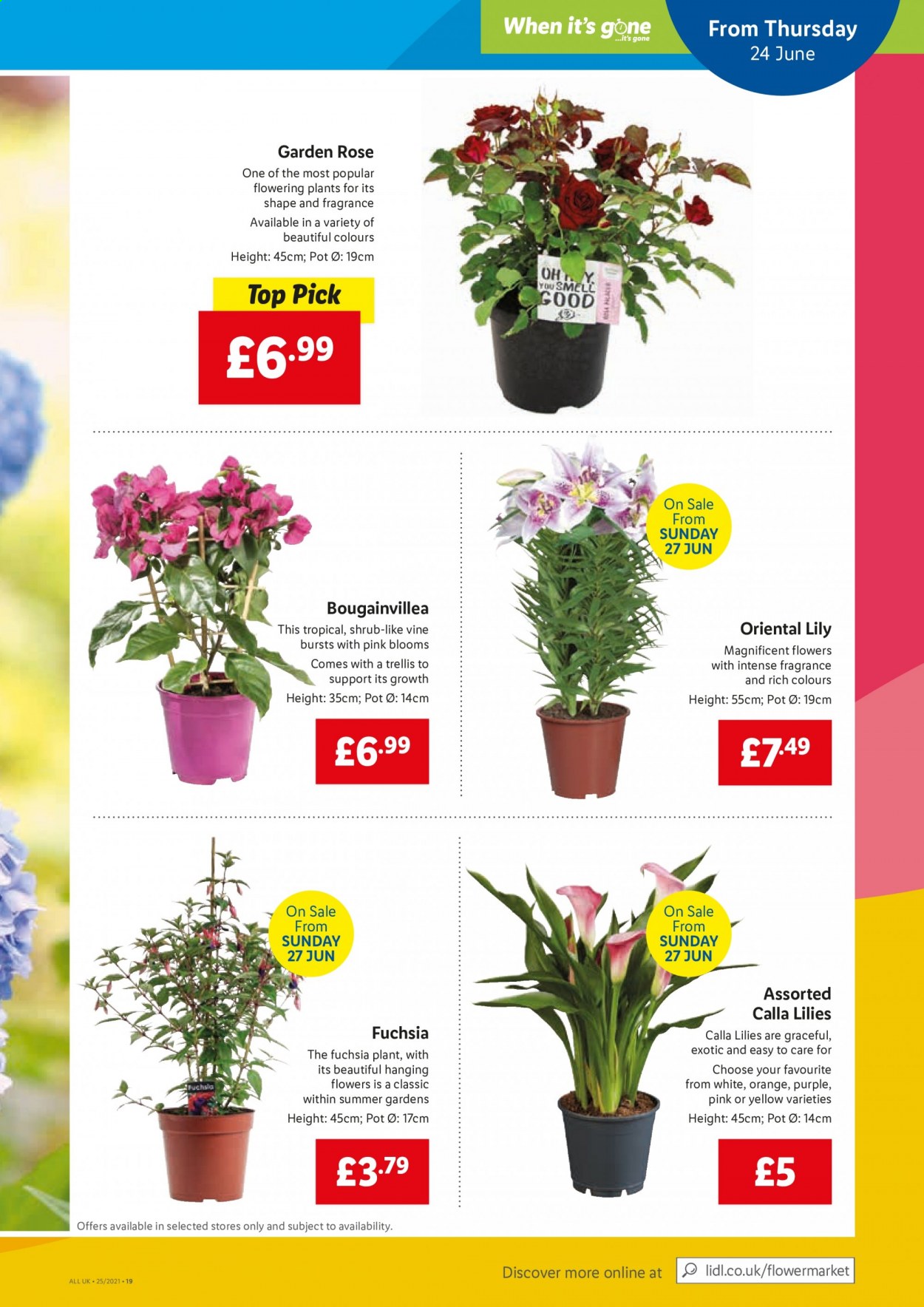 Lidl offer - 24/06/2021 - 30/06/2021. Page 19