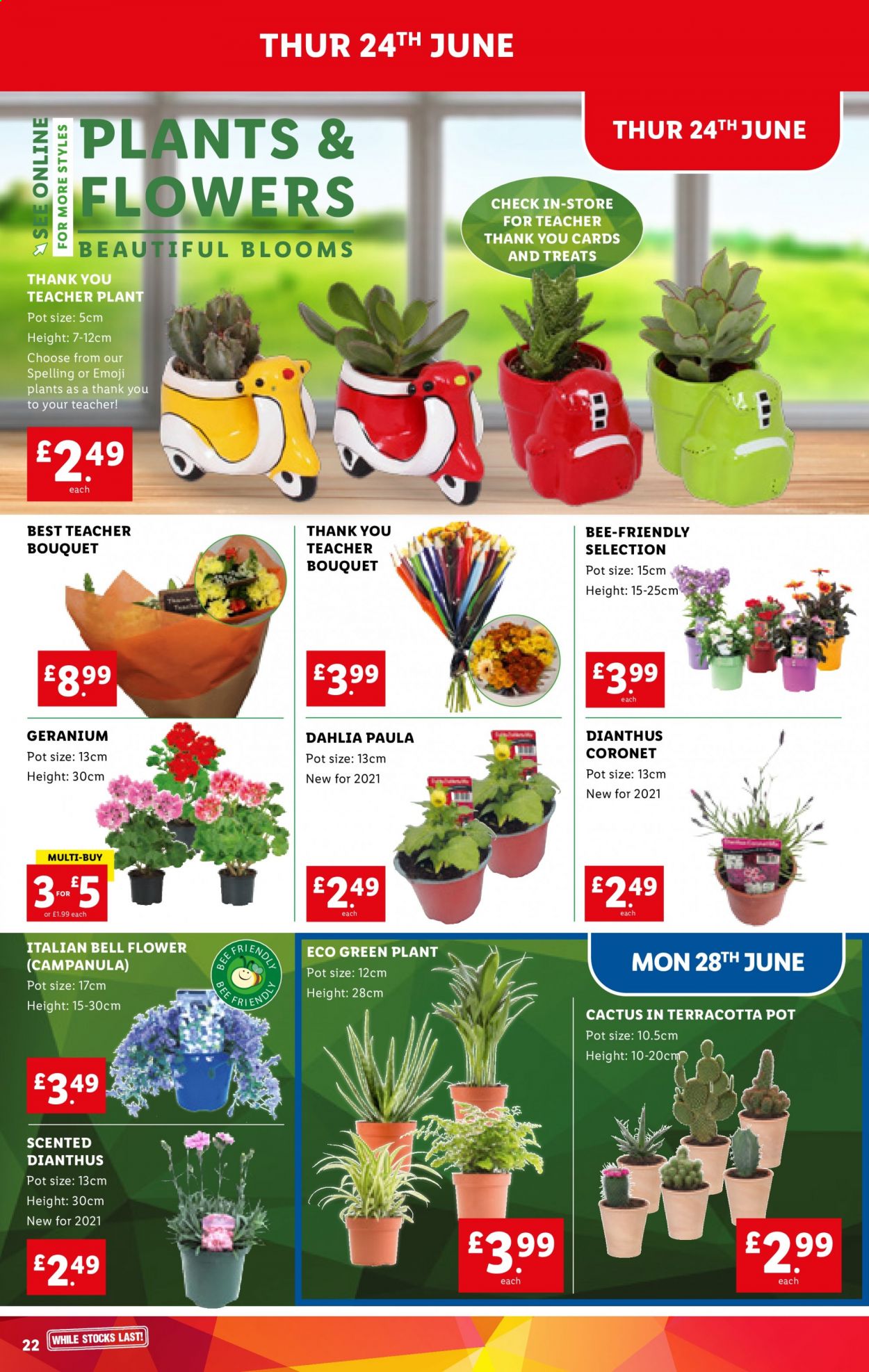 Lidl offer - 24/06/2021 - 30/06/2021. Page 22