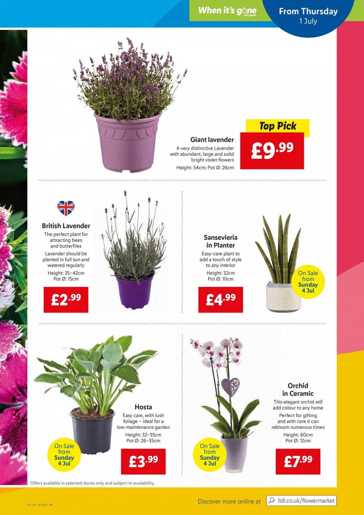 Lidl offer. Page 17