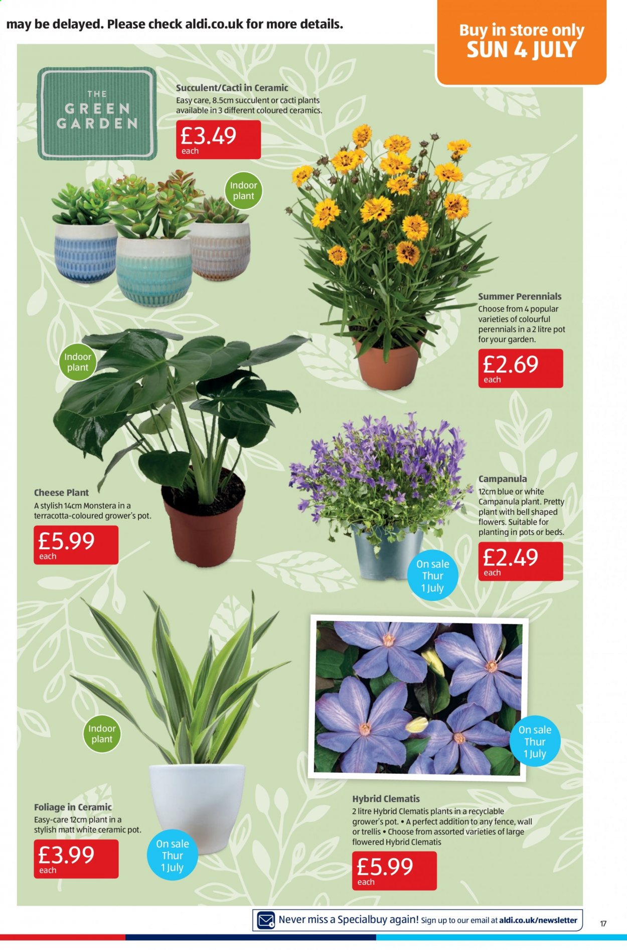 Aldi offer - 27/06/2021 - 04/07/2021. Page 17