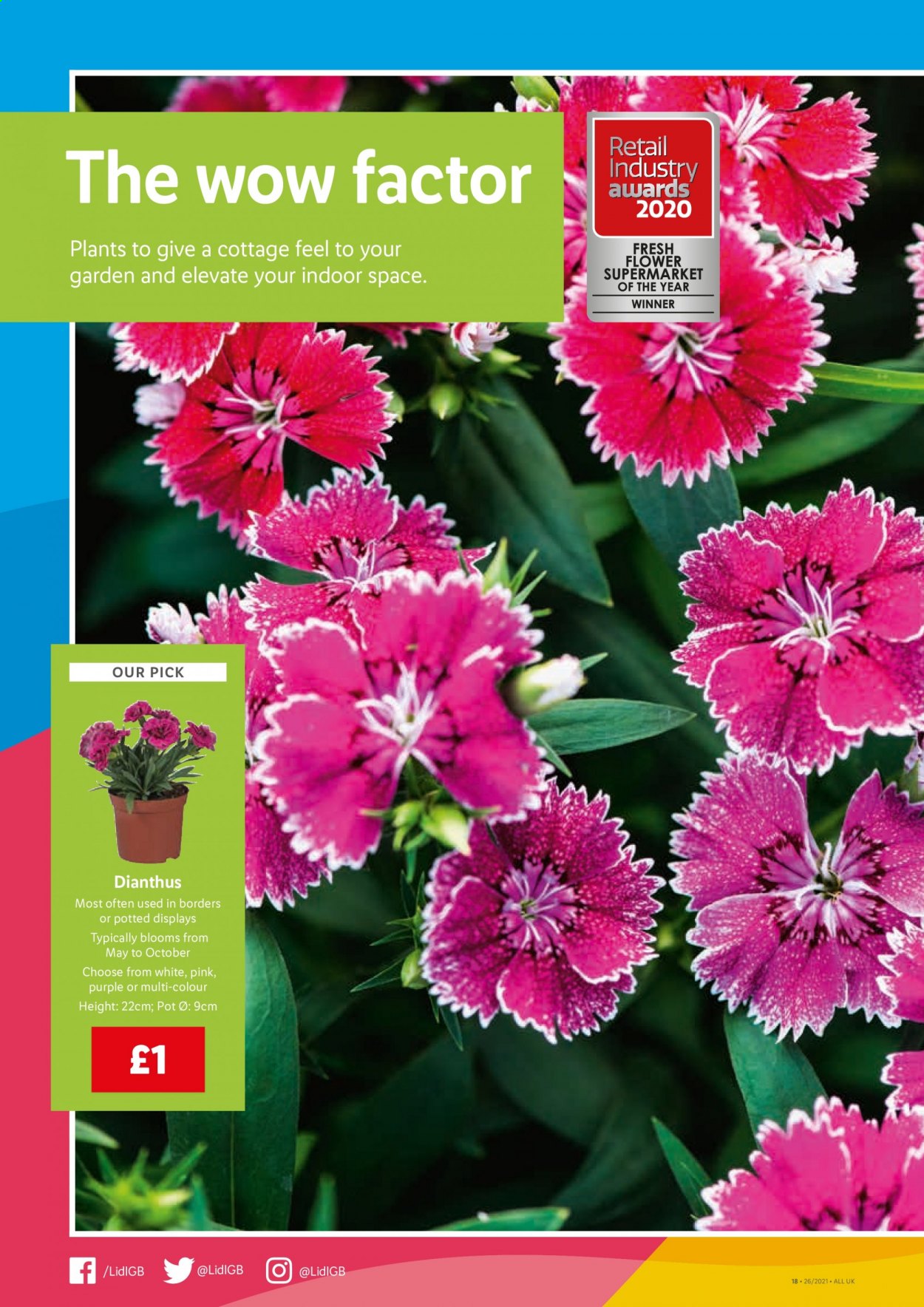 Lidl offer - 01/07/2021 - 07/07/2021. Page 14