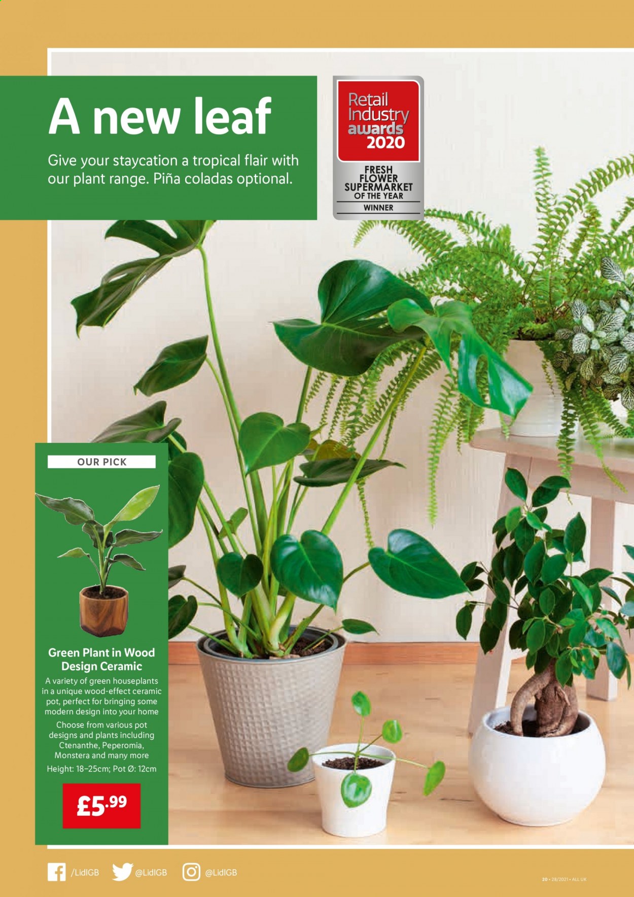 thumbnail - Lidl offer  - 15/07/2021 - 21/07/2021 - Sales products - pot. Page 20.