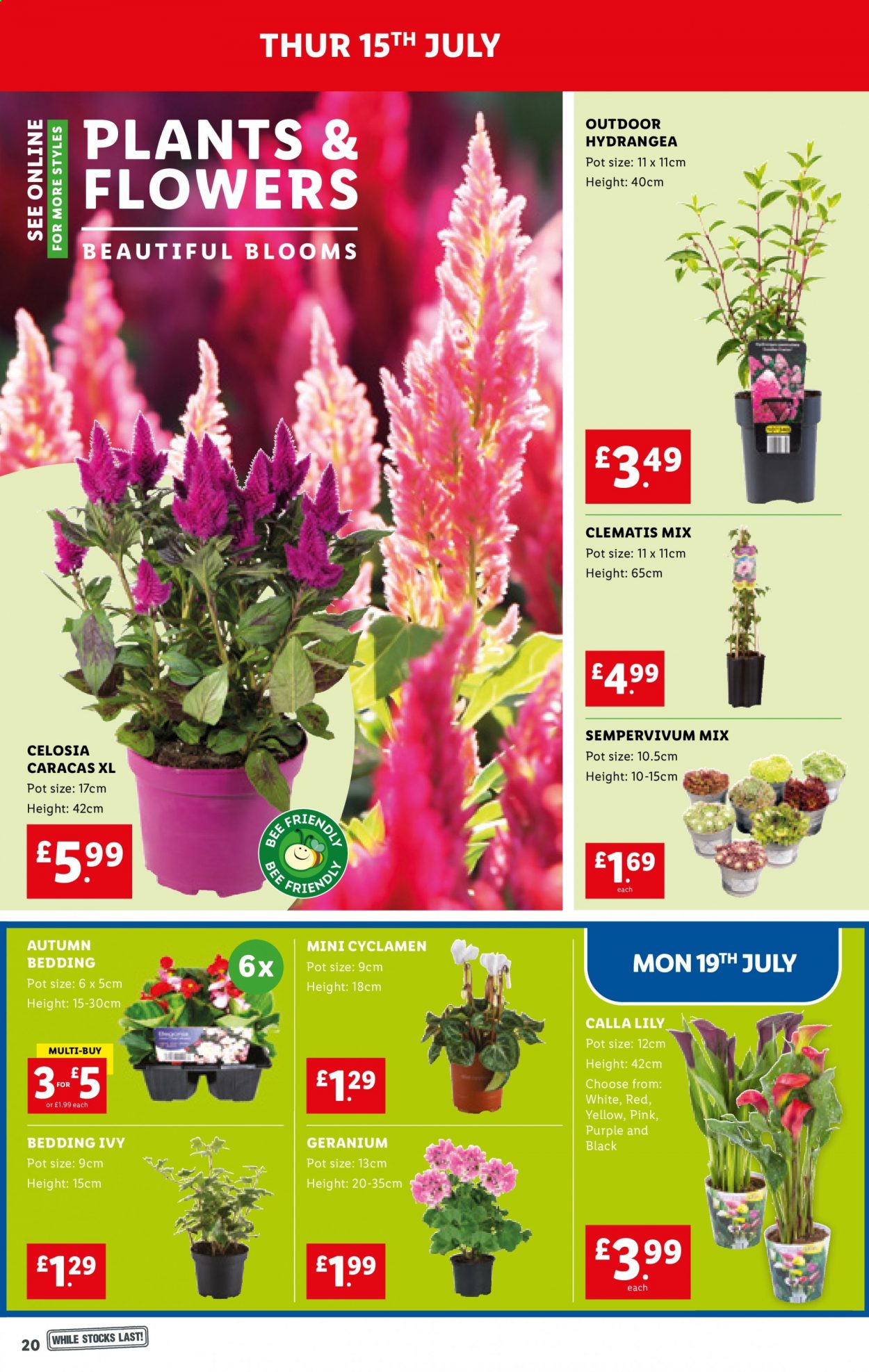 Lidl offer - 15/07/2021 - 21/07/2021. Page 20