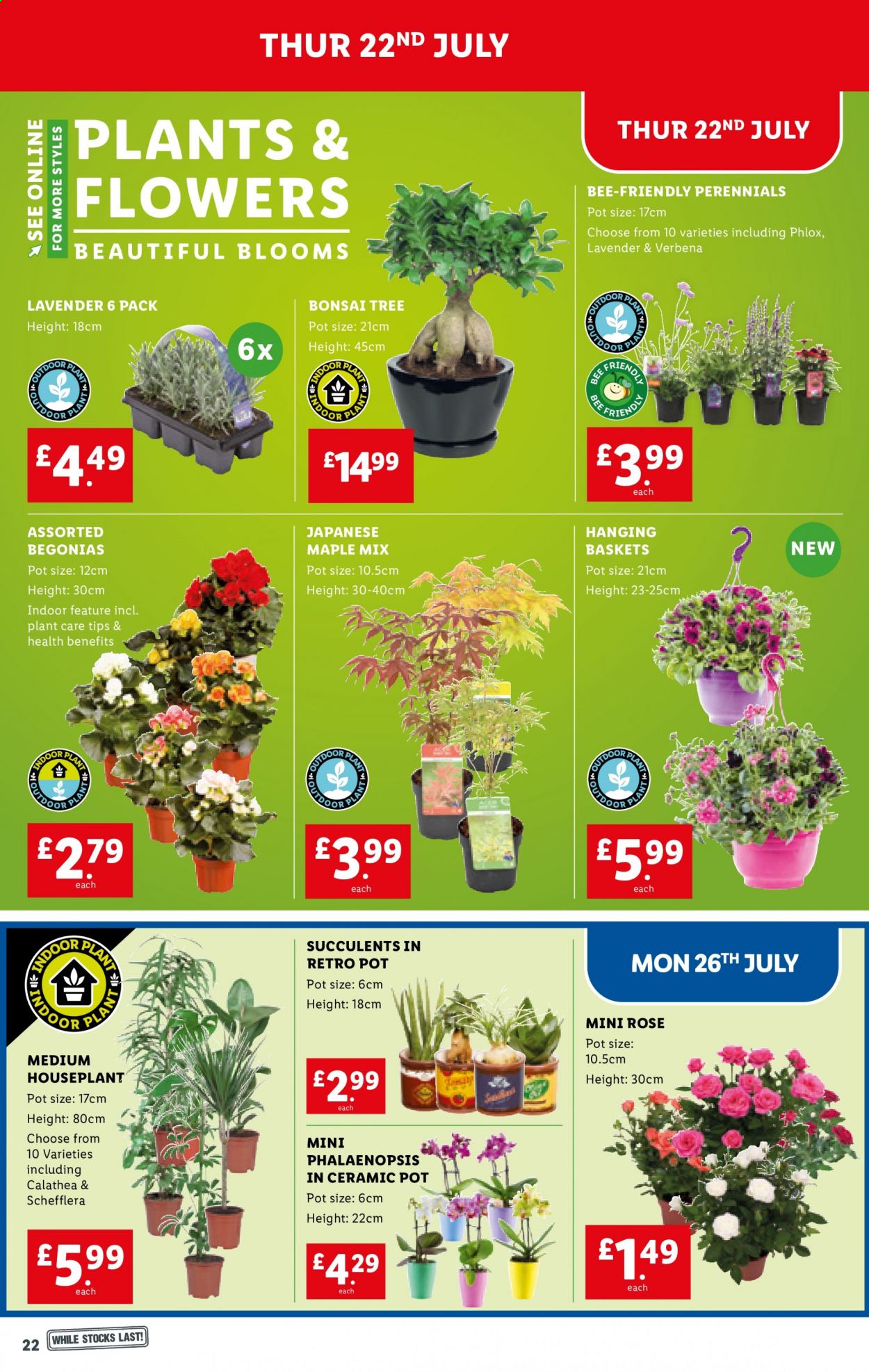 Lidl offer - 22/07/2021 - 28/07/2021. Page 22