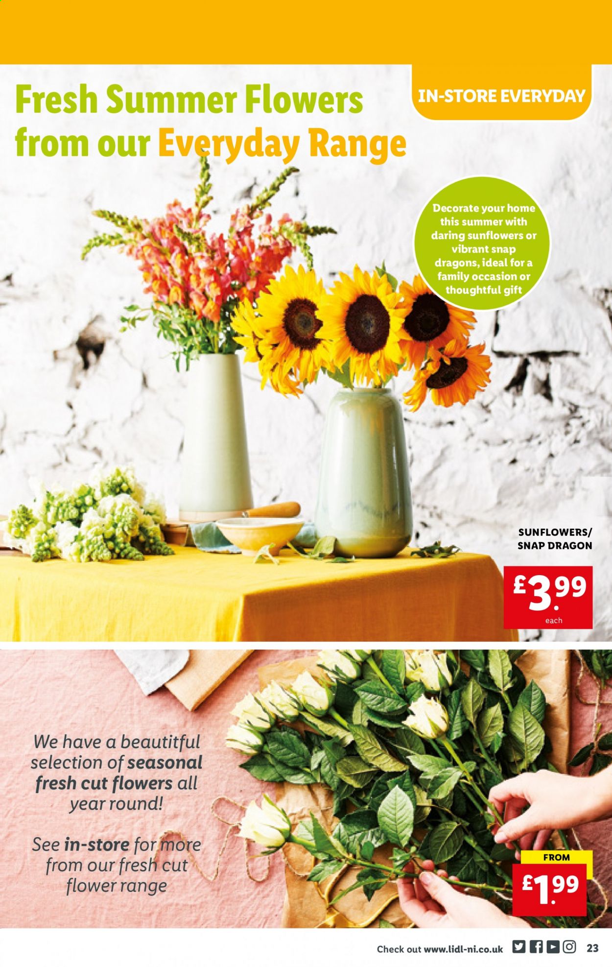 Lidl offer - 22/07/2021 - 28/07/2021. Page 23