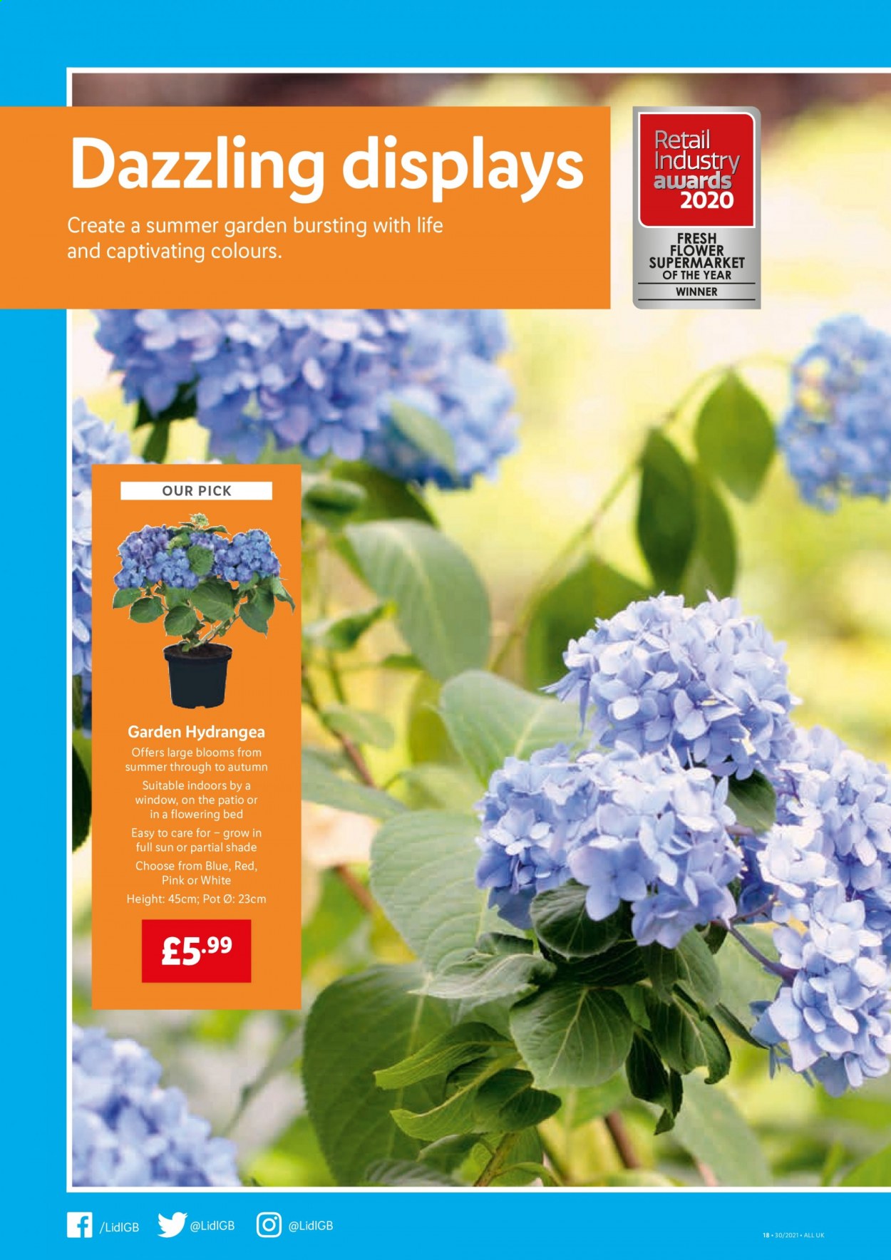 thumbnail - Lidl offer  - 29/07/2021 - 04/08/2021 - Sales products - bed, pot. Page 18.