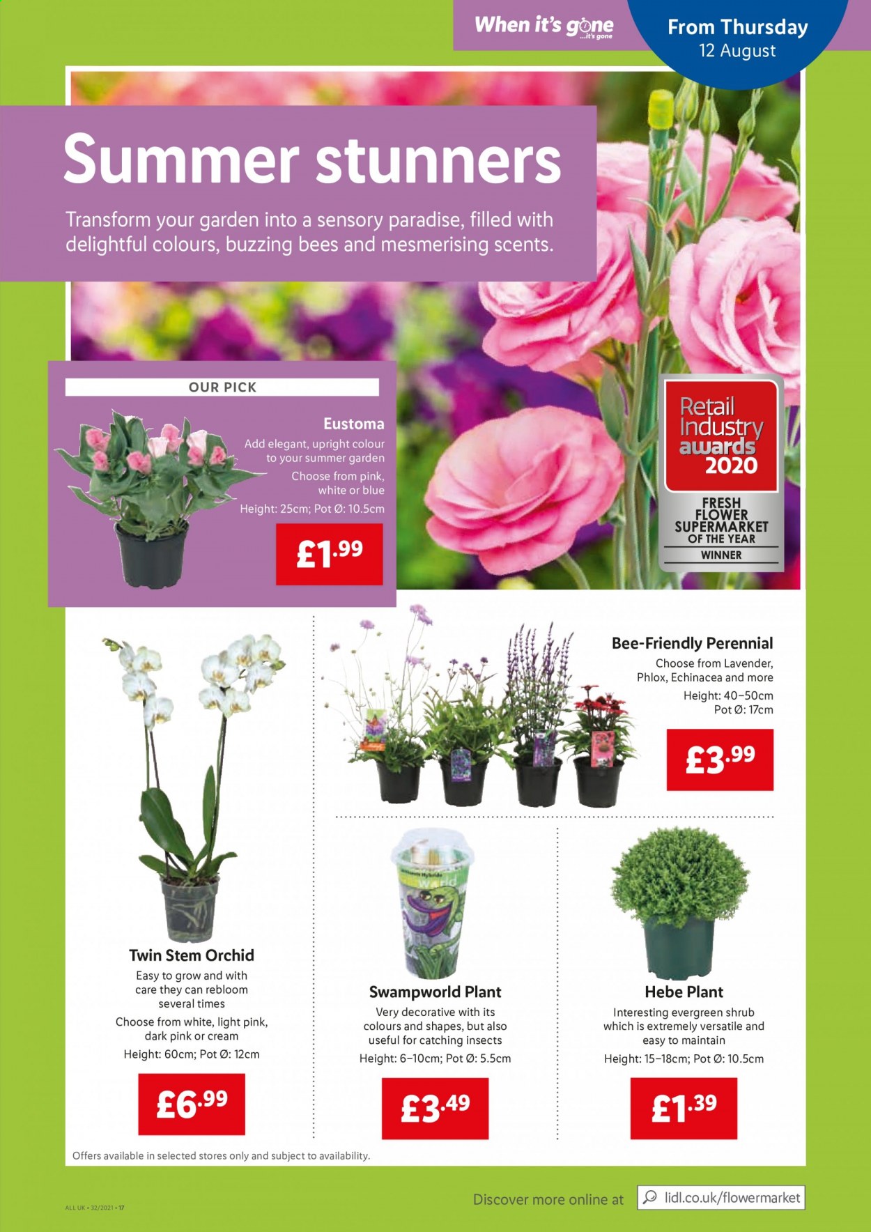 Lidl offer - 12/08/2021 - 18/08/2021. Page 17