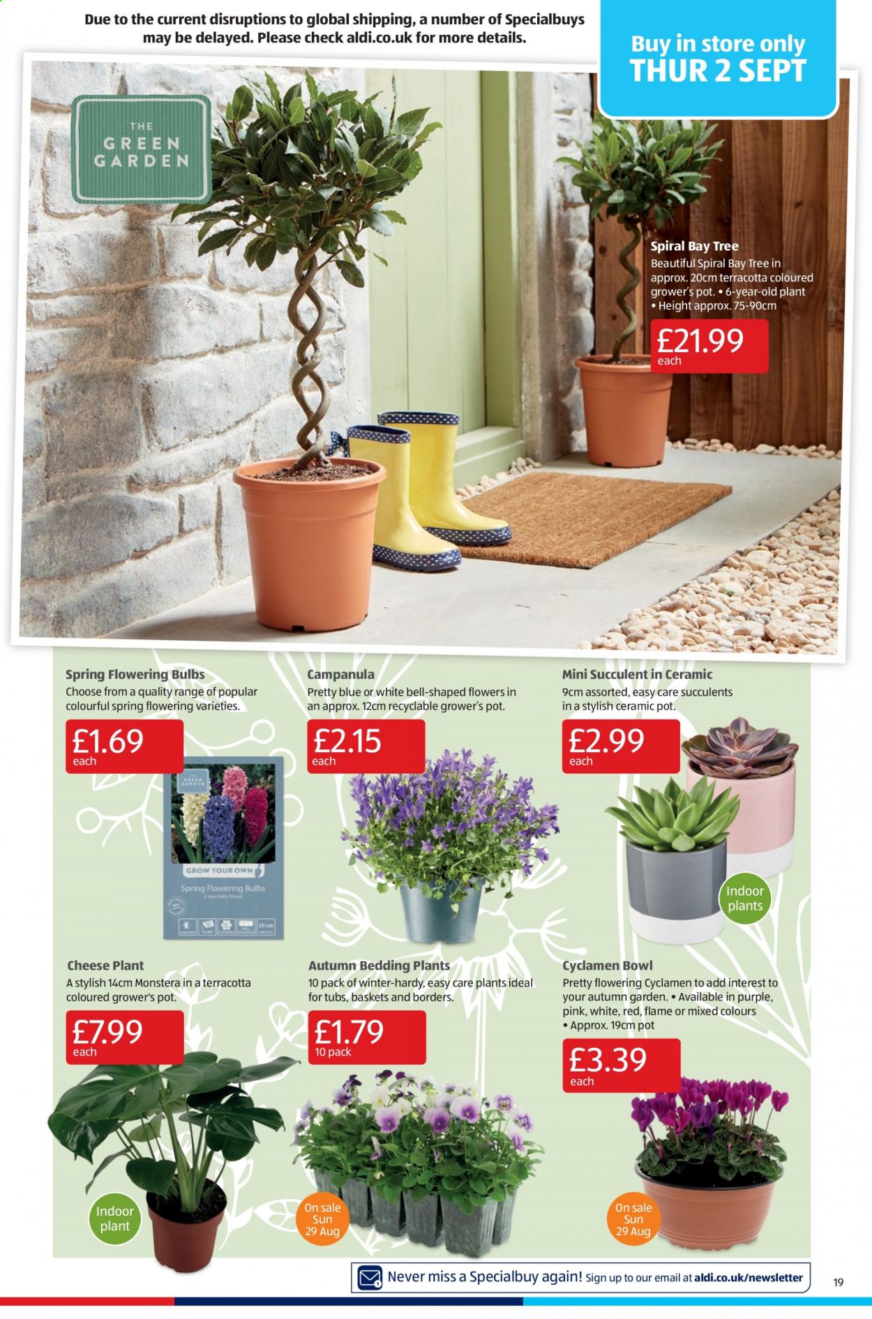 Aldi offer - 29/08/2021 - 05/09/2021. Page 19