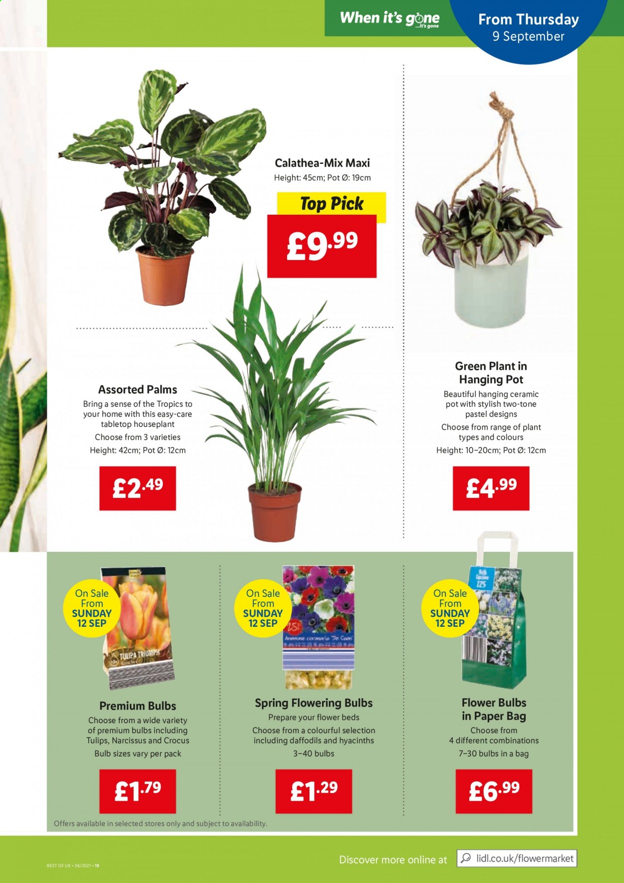 Lidl offer - 09/09/2021 - 15/09/2021. Page 17