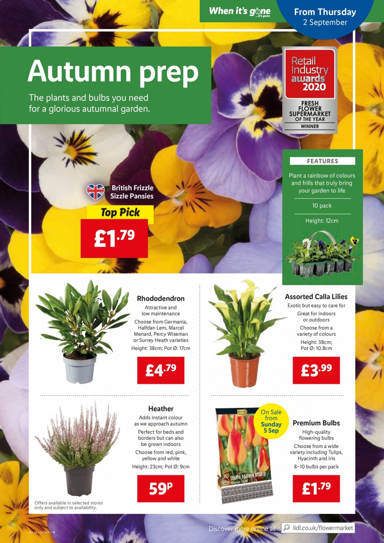 Lidl offer - 02/09/2021 - 08/09/2021. Page 15