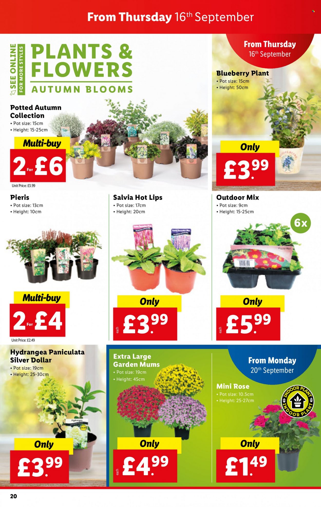 Lidl offer - 16/09/2021 - 22/09/2021. Page 20