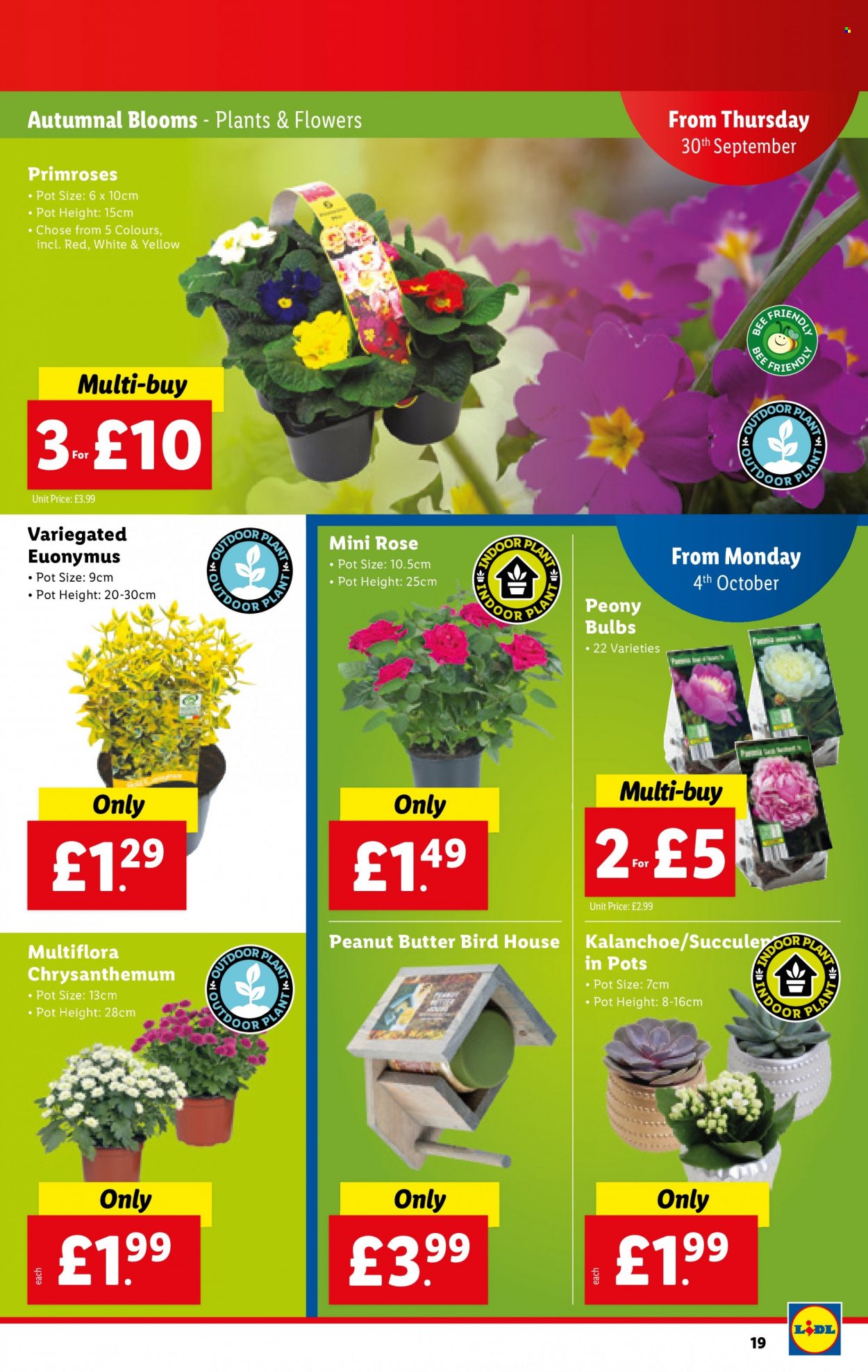 Lidl offer - 30/09/2021 - 06/10/2021. Page 19