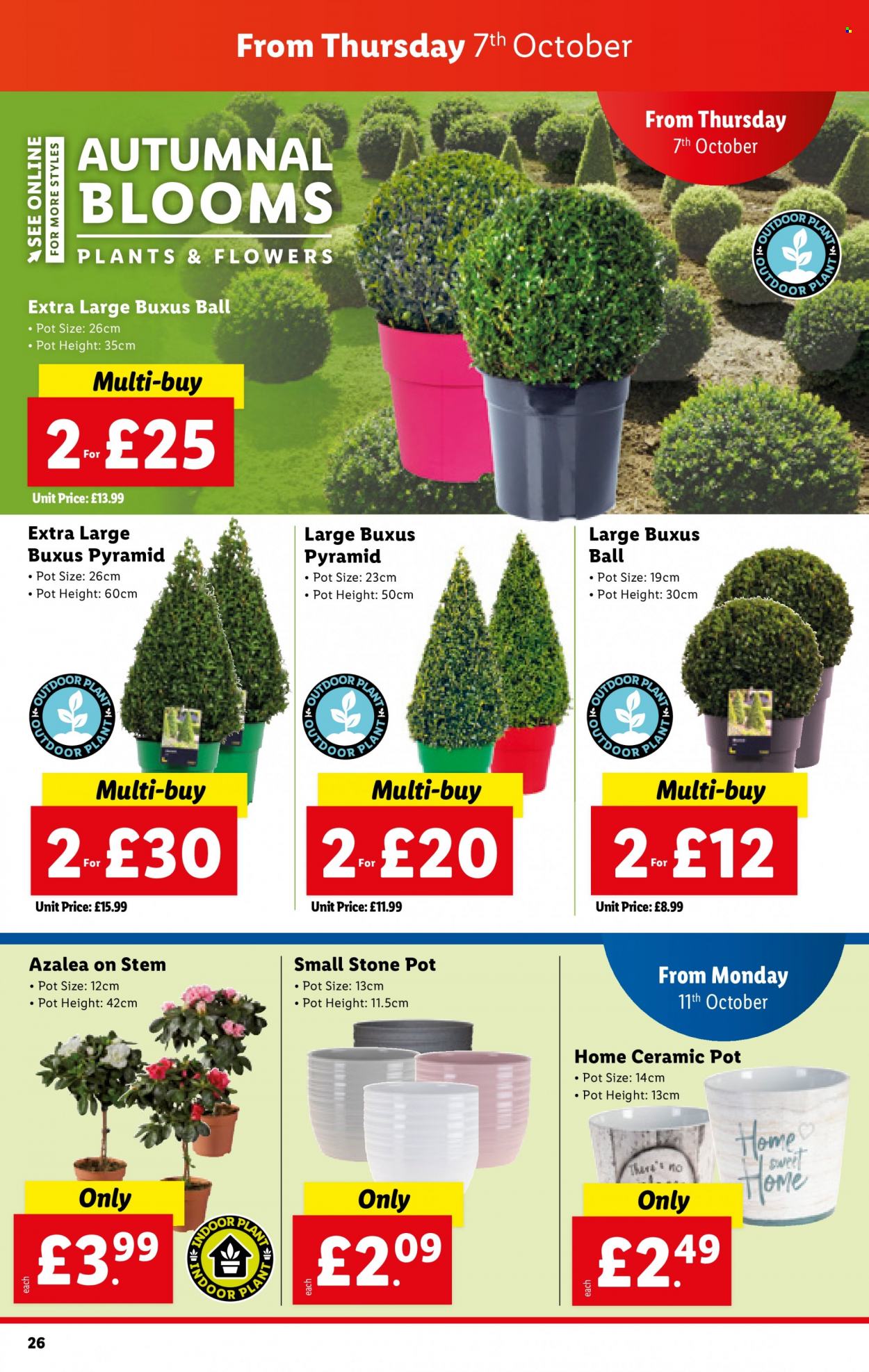 Lidl offer - 07/10/2021 - 13/10/2021. Page 26
