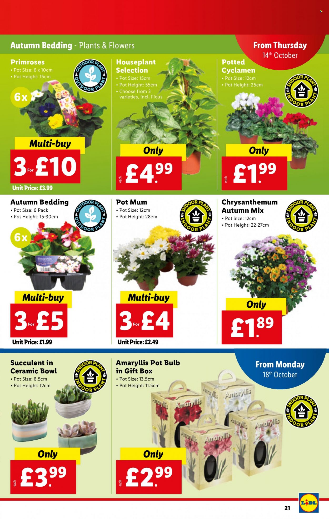 Lidl offer - 14/10/2021 - 20/10/2021. Page 21