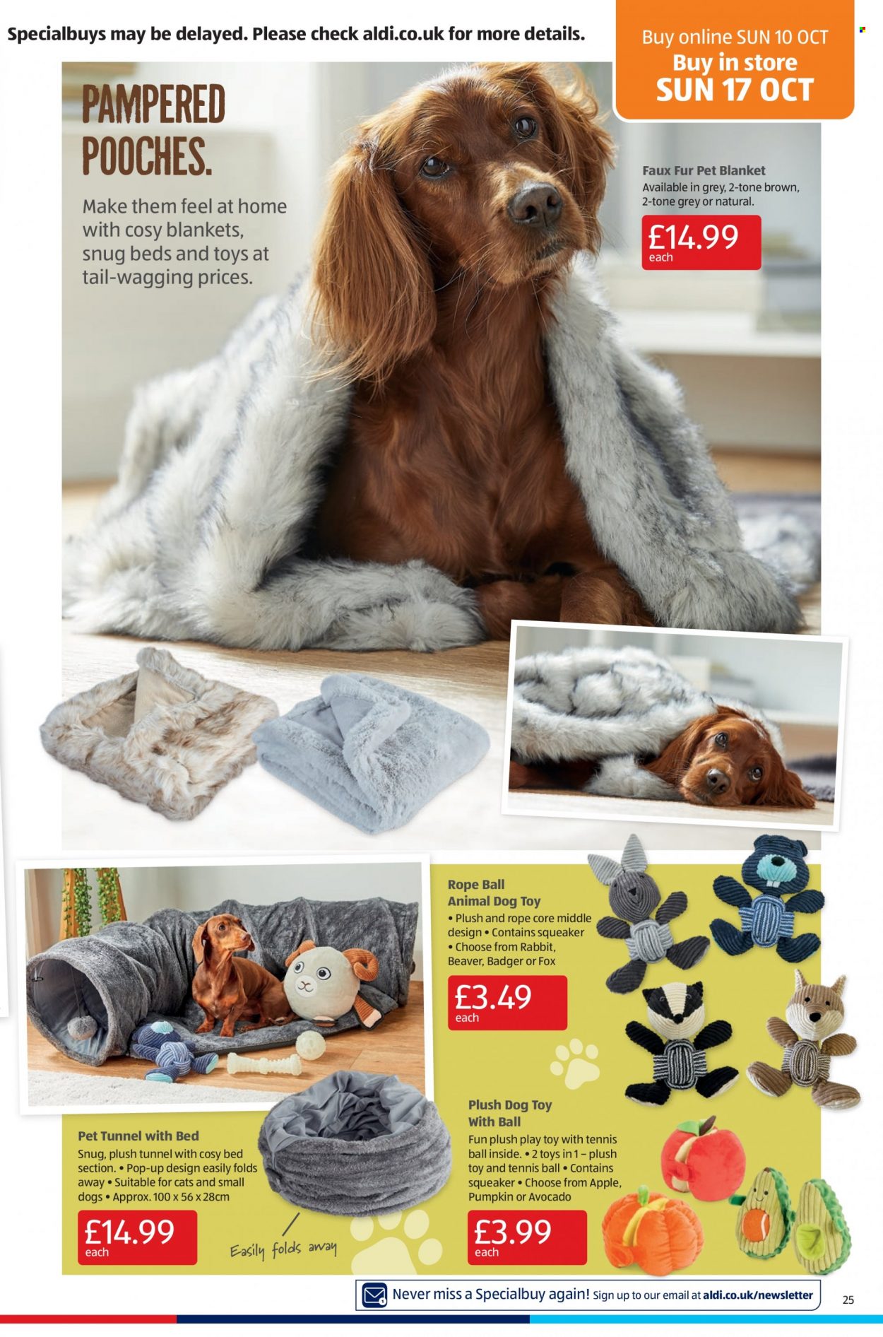 thumbnail - Aldi offer  - 10/10/2021 - 17/10/2021 - Sales products - pumpkin, rabbit, blanket, dog toy, squeaker, pet blanket, bed, Snug. Page 25.