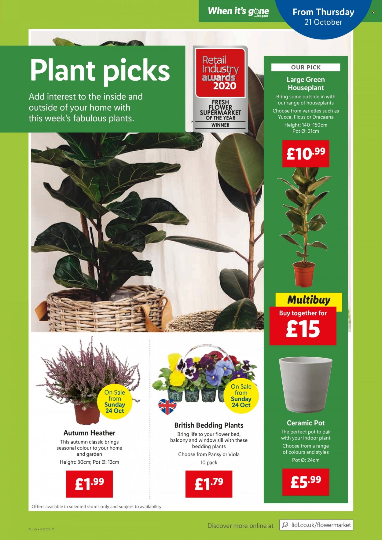 thumbnail - Lidl offer  - 21/10/2021 - 27/10/2021 - Sales products - bed, pot, bedding, houseplant. Page 13.