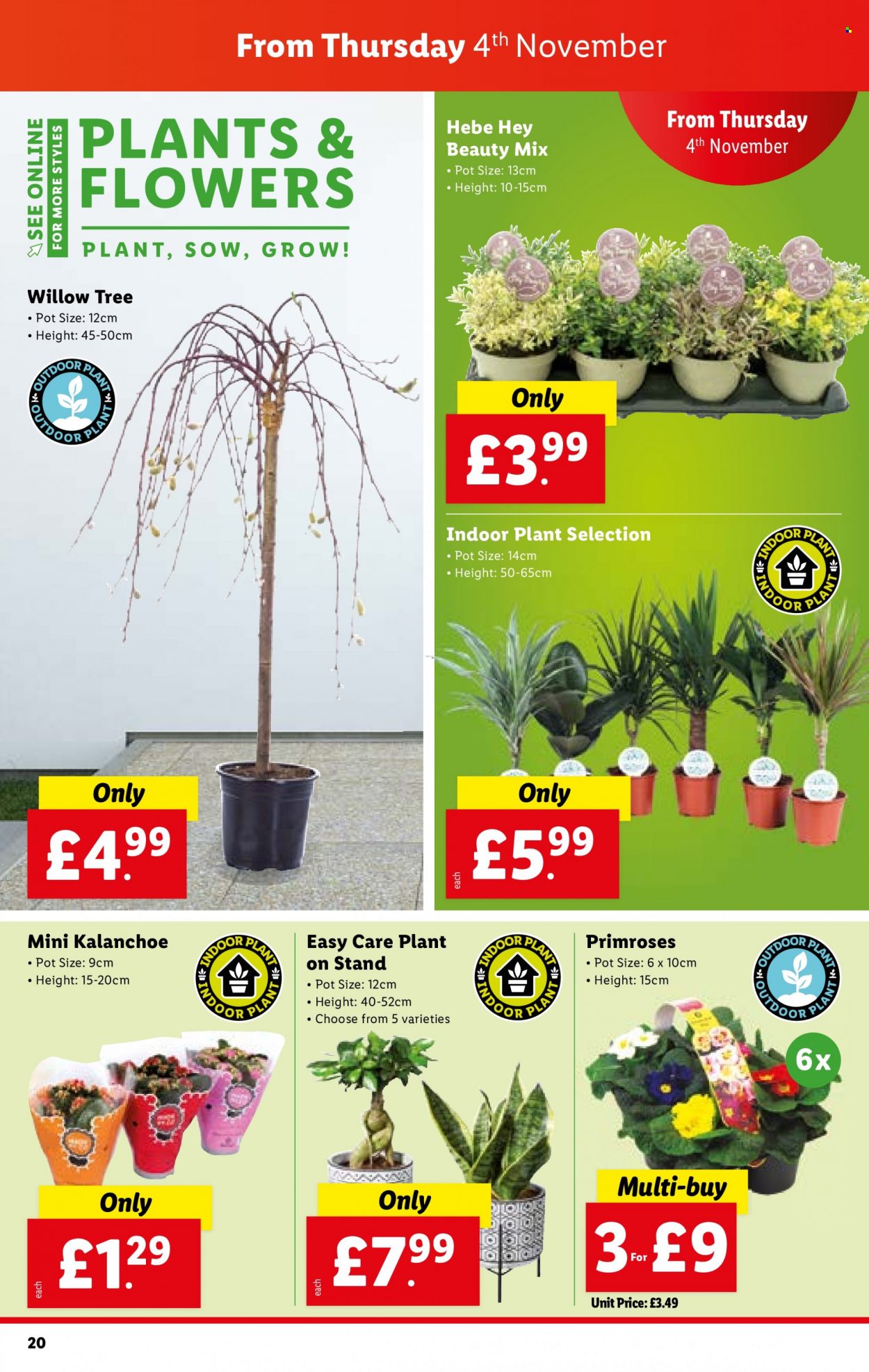 Lidl offer - 04/11/2021 - 10/11/2021. Page 20