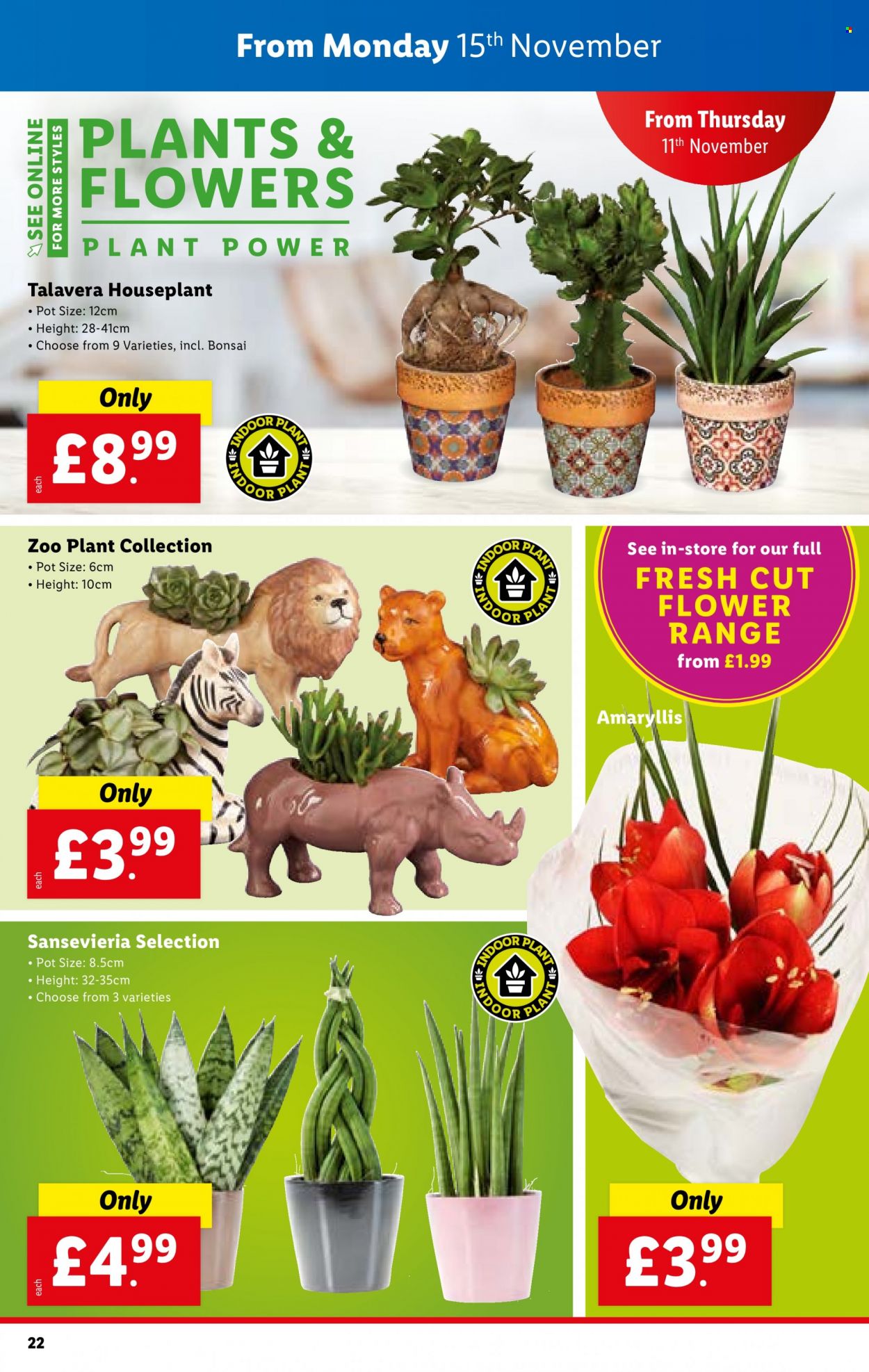 Lidl offer - 11/11/2021 - 17/11/2021. Page 22