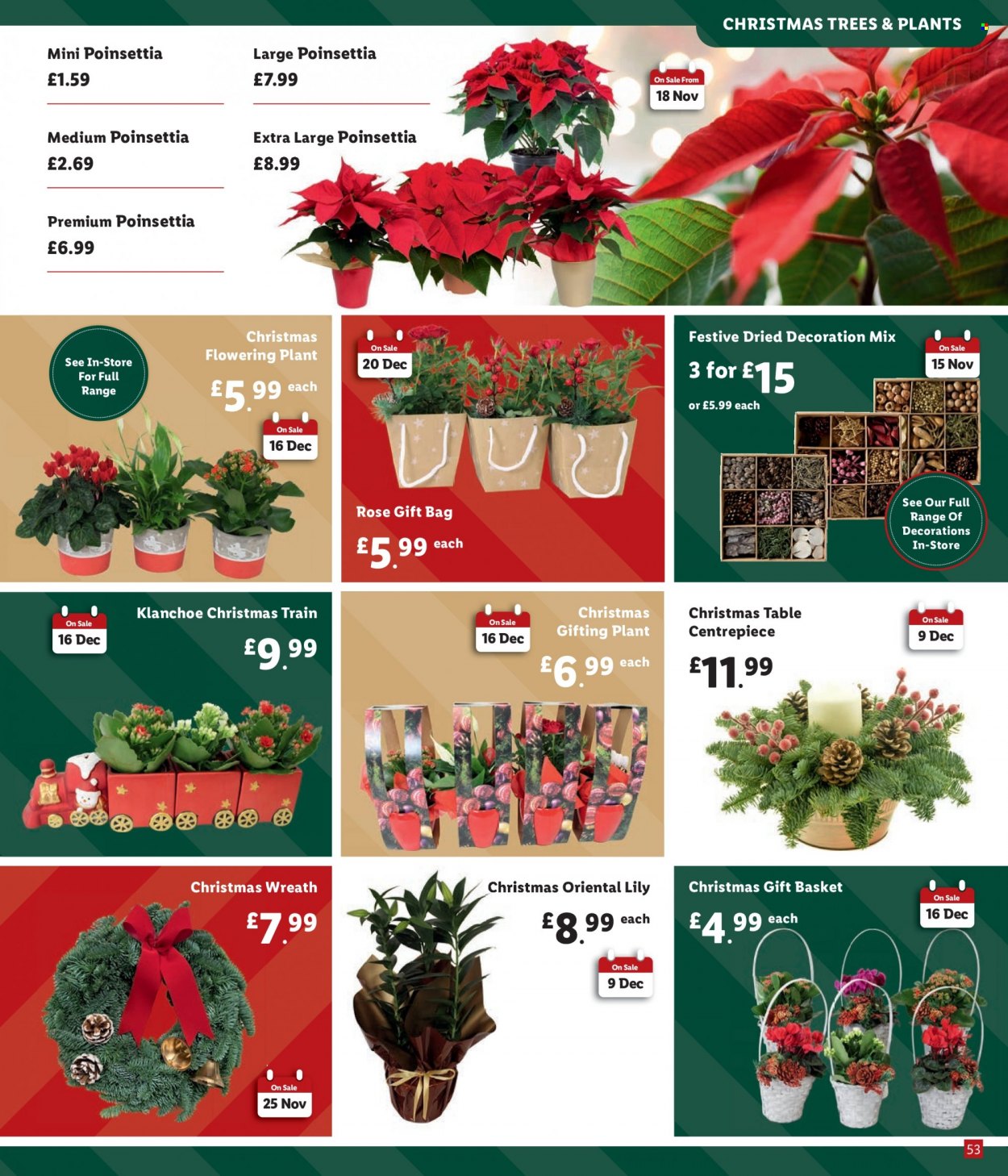 thumbnail - Lidl offer  - Sales products - table, wreath, christmas tree, wine, rosé wine, basket, gift bag, train, poinsettia, rose. Page 53.