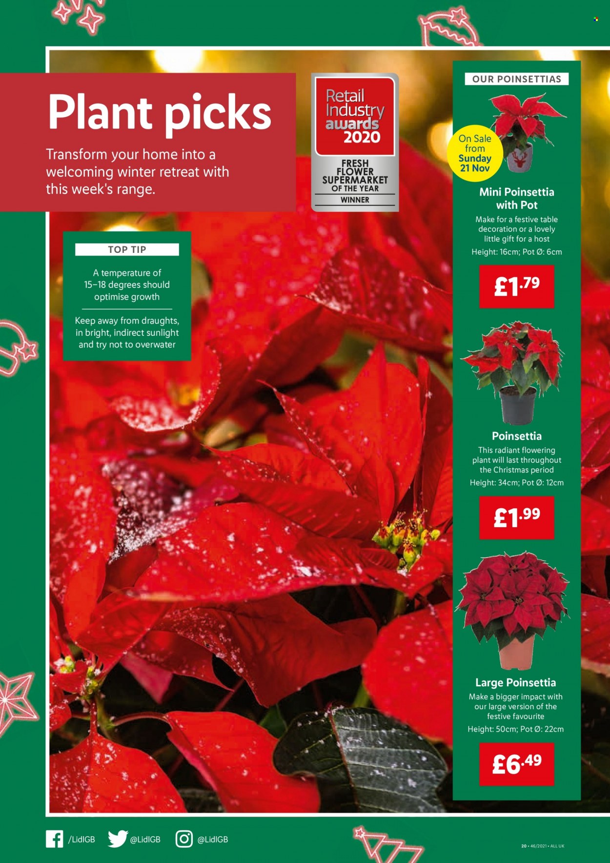 Lidl offer - 18/11/2021 - 24/11/2021. Page 14