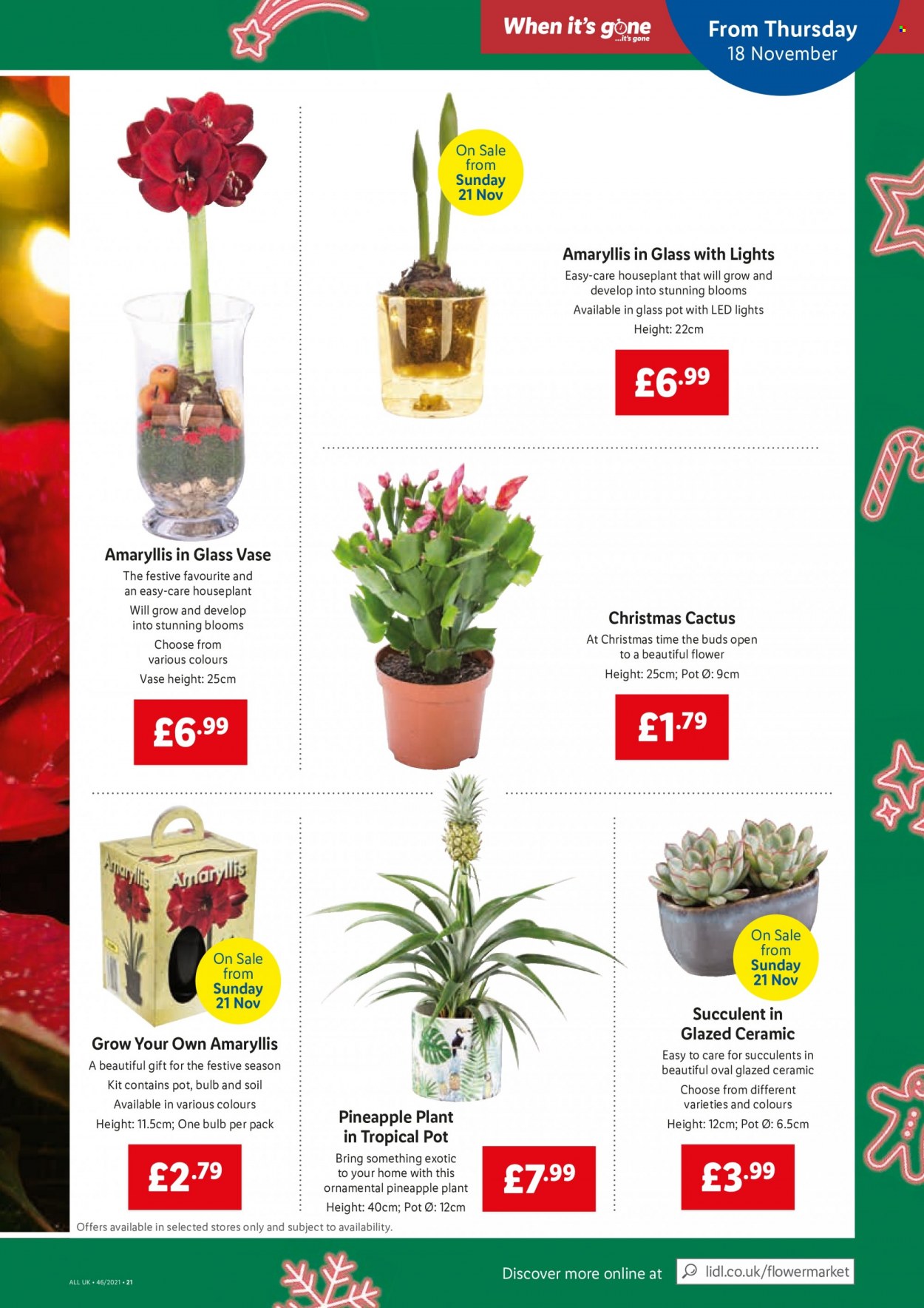 Lidl offer - 18/11/2021 - 24/11/2021. Page 15