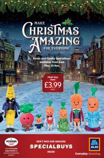 Aldi offer  - 21.11.2021 - 28.11.2021.