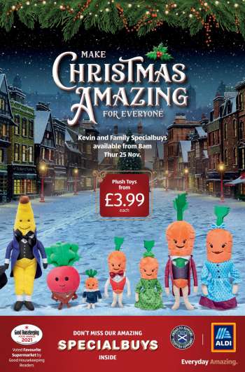 Aldi offer  - 21.11.2021 - 28.11.2021.