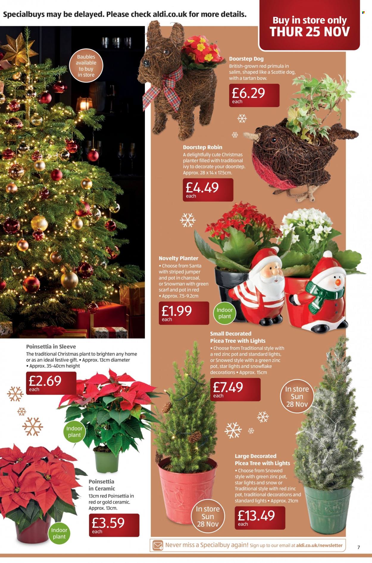 Aldi offer - 21/11/2021 - 28/11/2021. Page 9