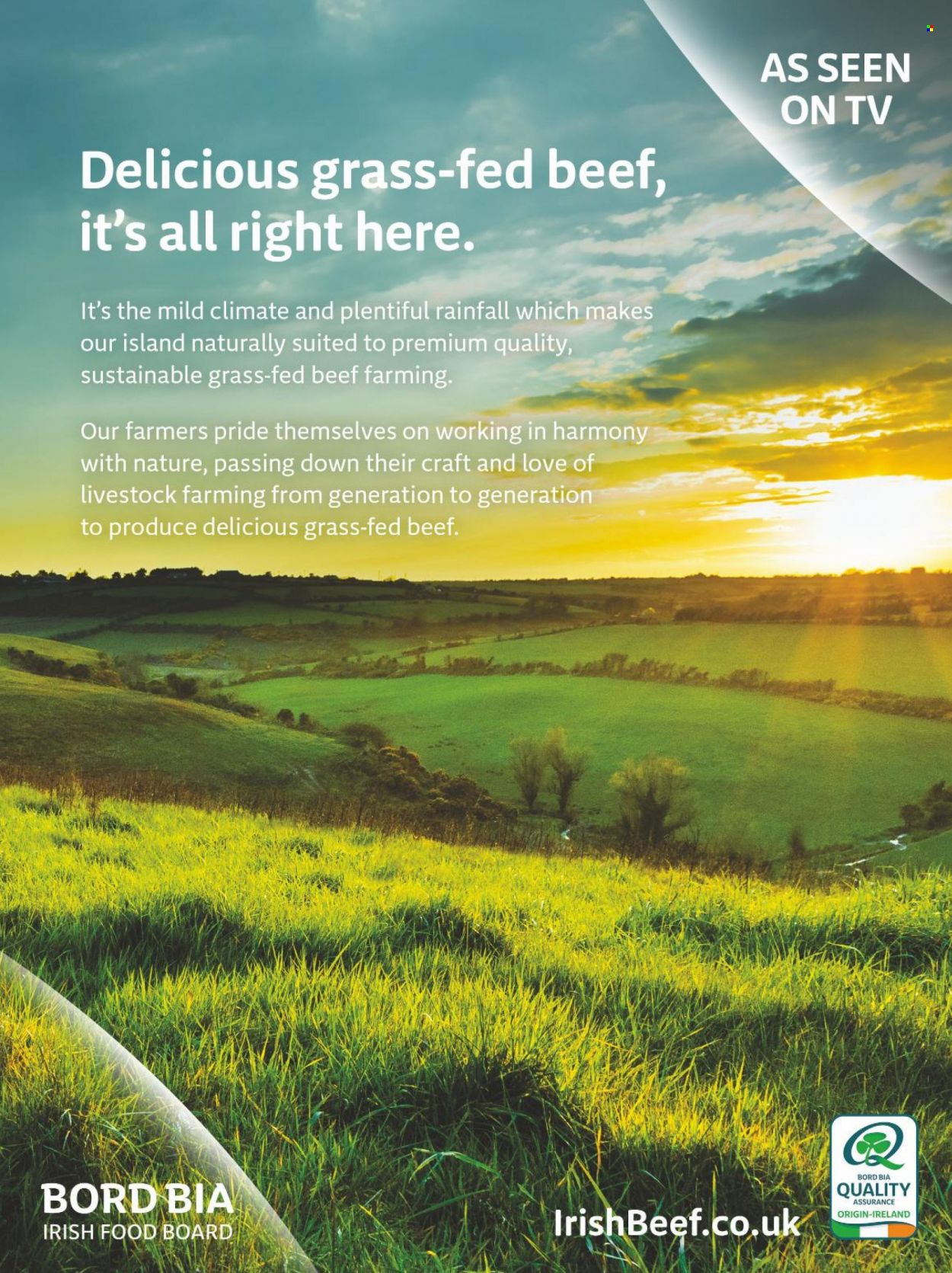 Tesco offer. Page 20