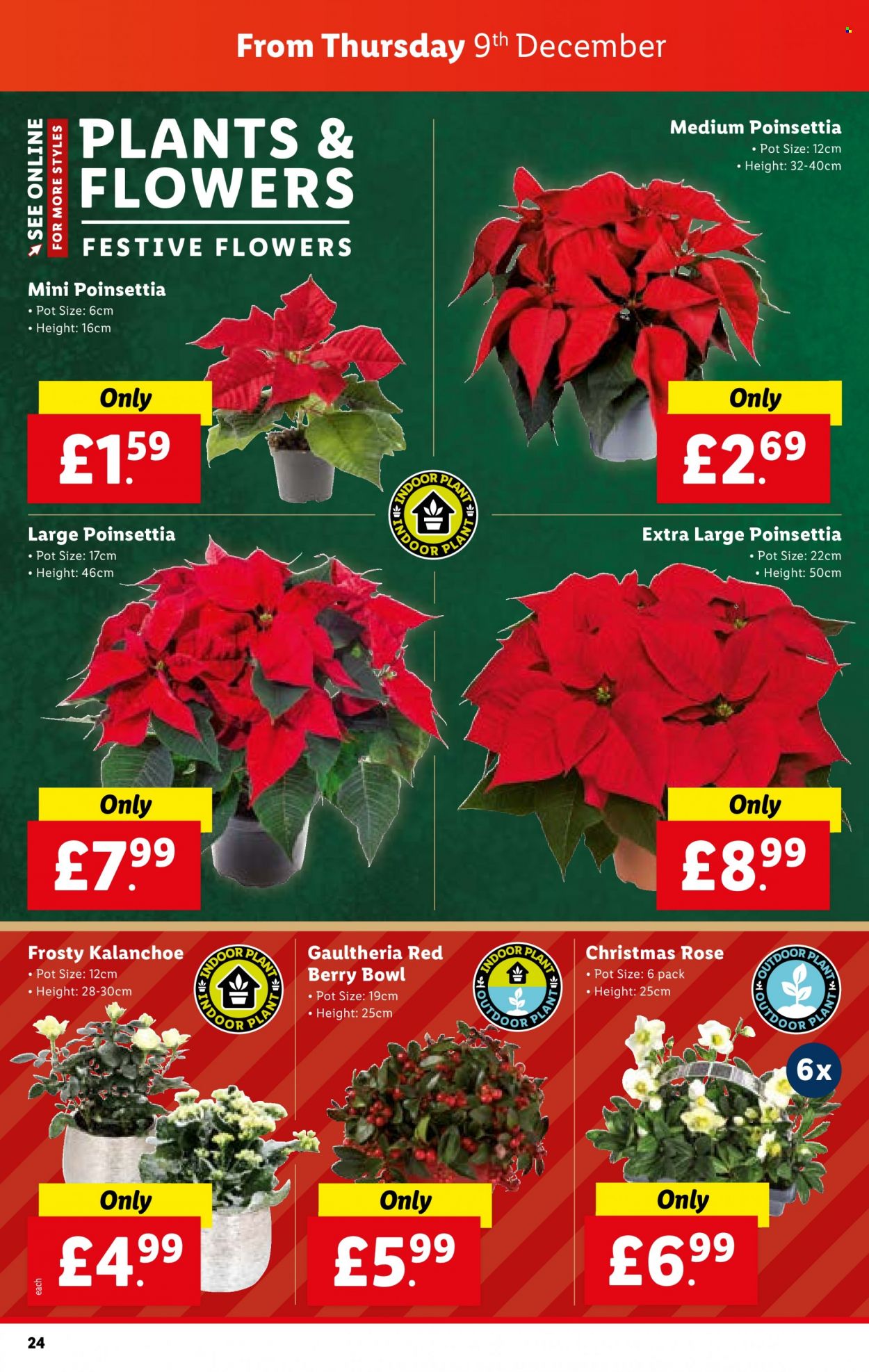 Lidl offer - 09/12/2021 - 15/12/2021. Page 24