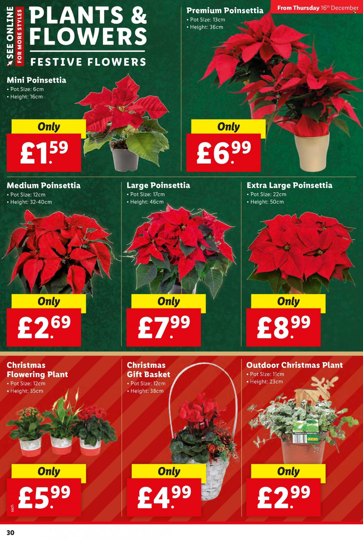 Lidl offer - 16/12/2021 - 24/12/2021. Page 30