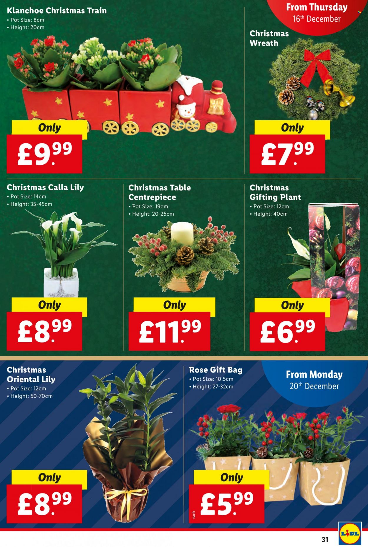 Lidl offer - 16/12/2021 - 24/12/2021. Page 31